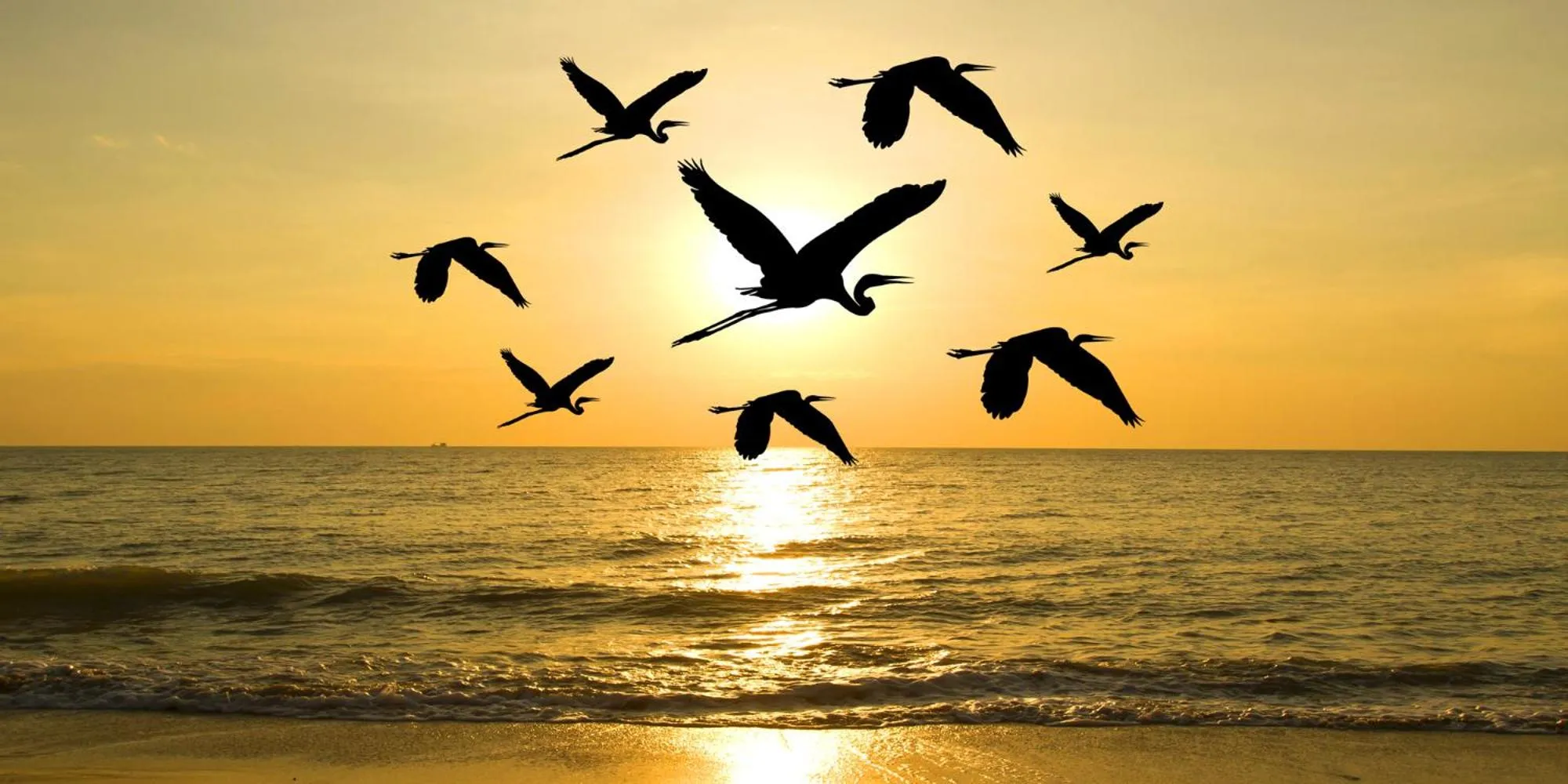 Beach in Hub Hua Hin 57