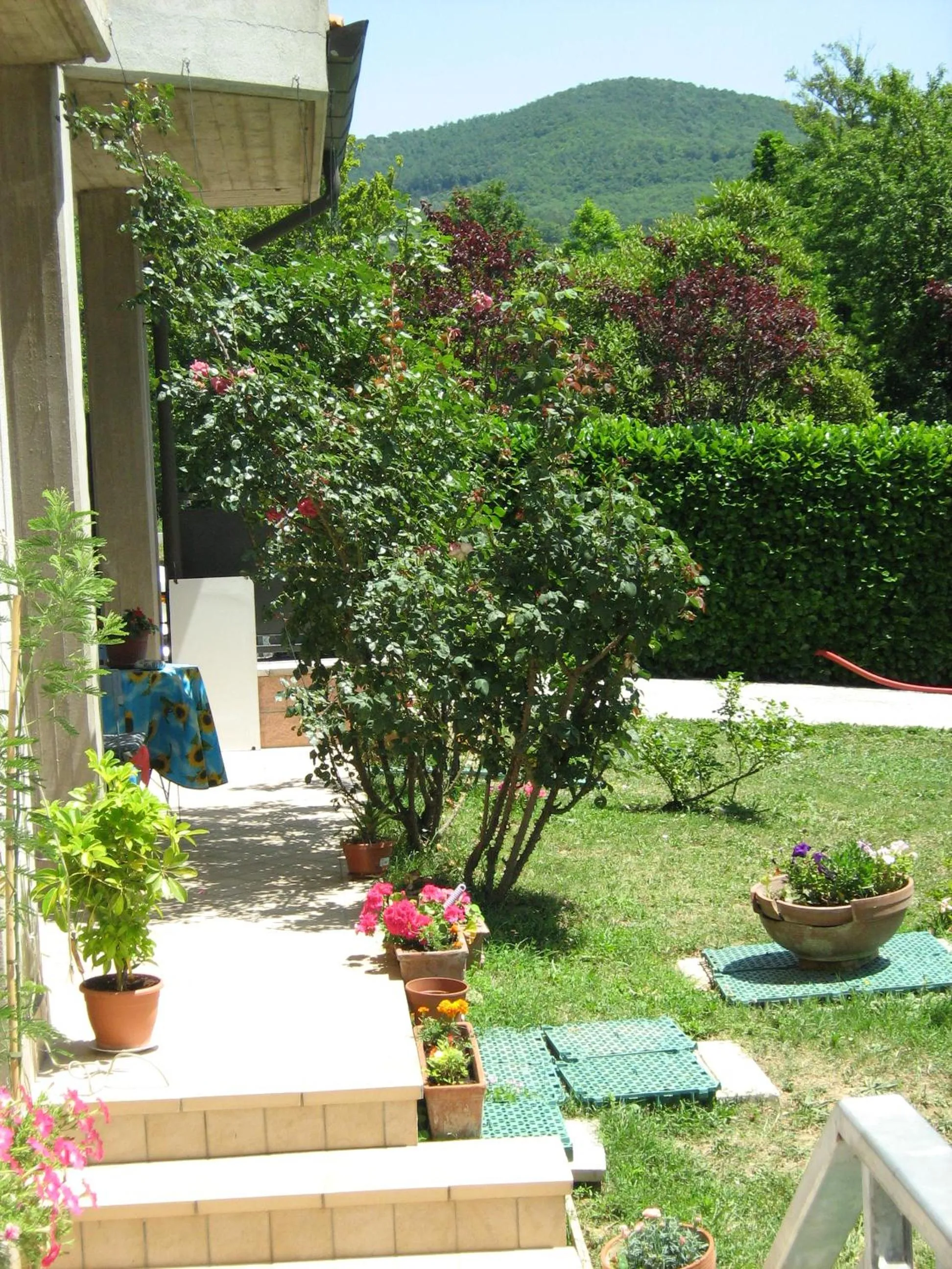 Garden view in B&B I Fiori