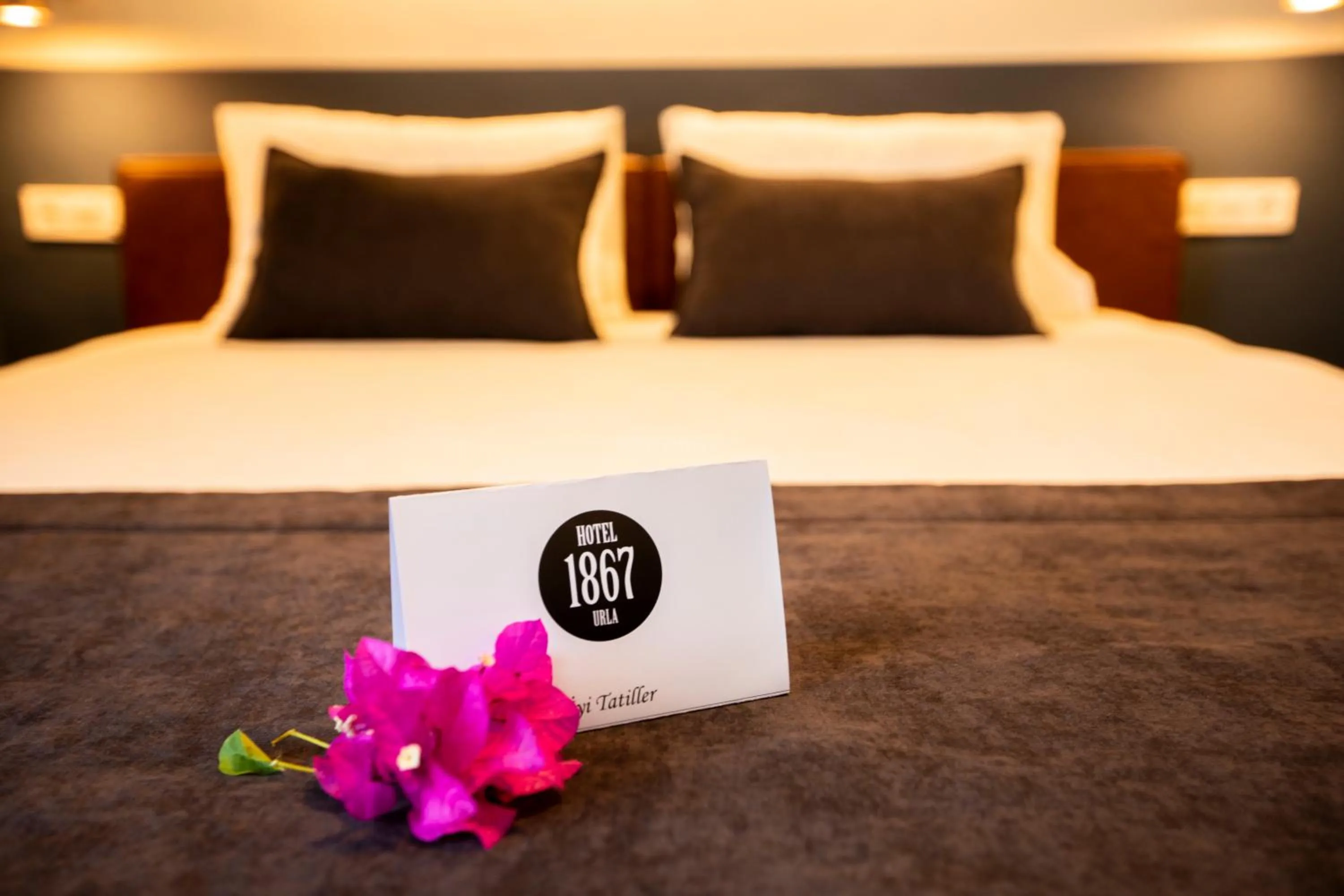 Photo of the whole room, Bed in Urla 1867 Hotel