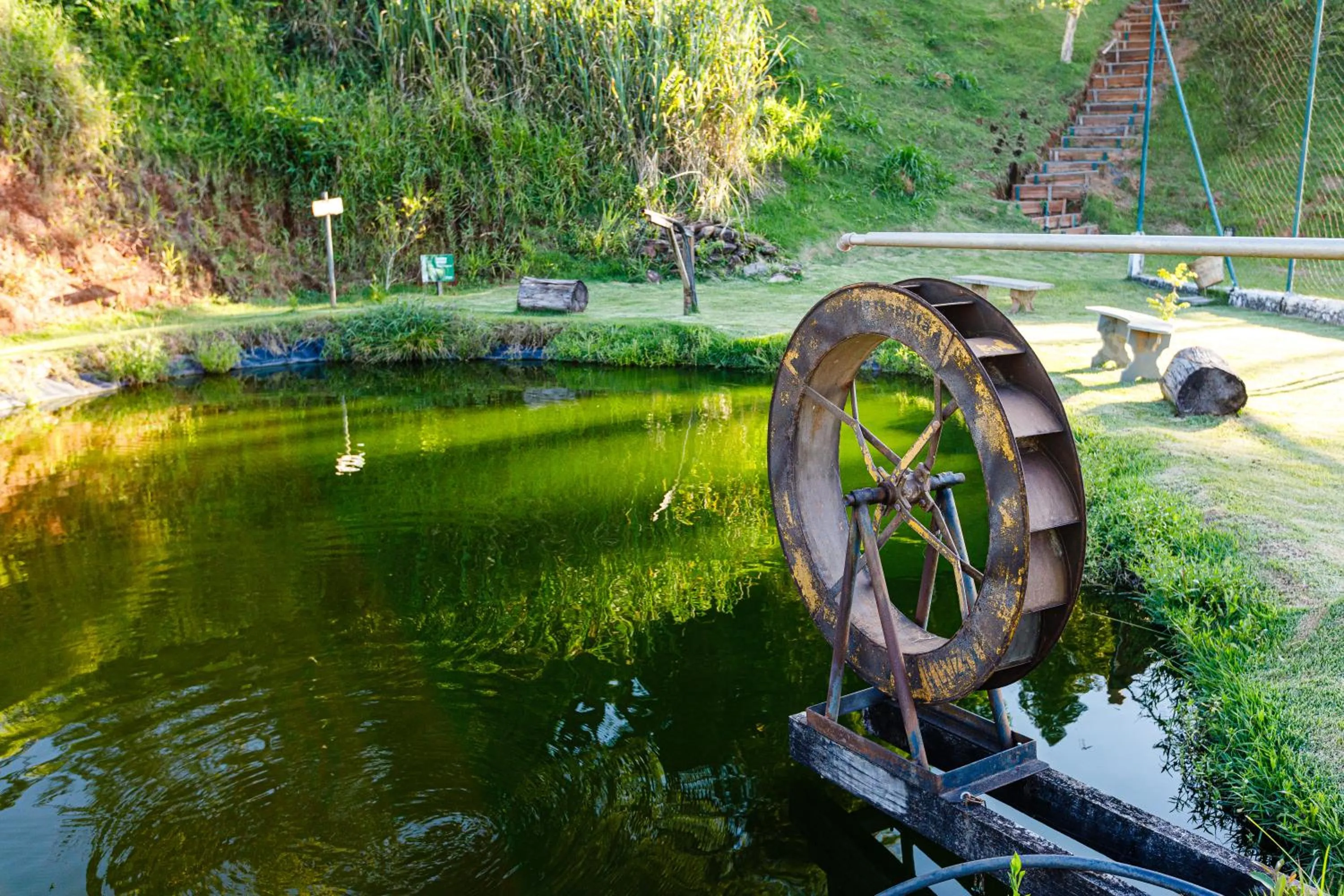 Garden view in Hotel Morro De Santo Agostinho