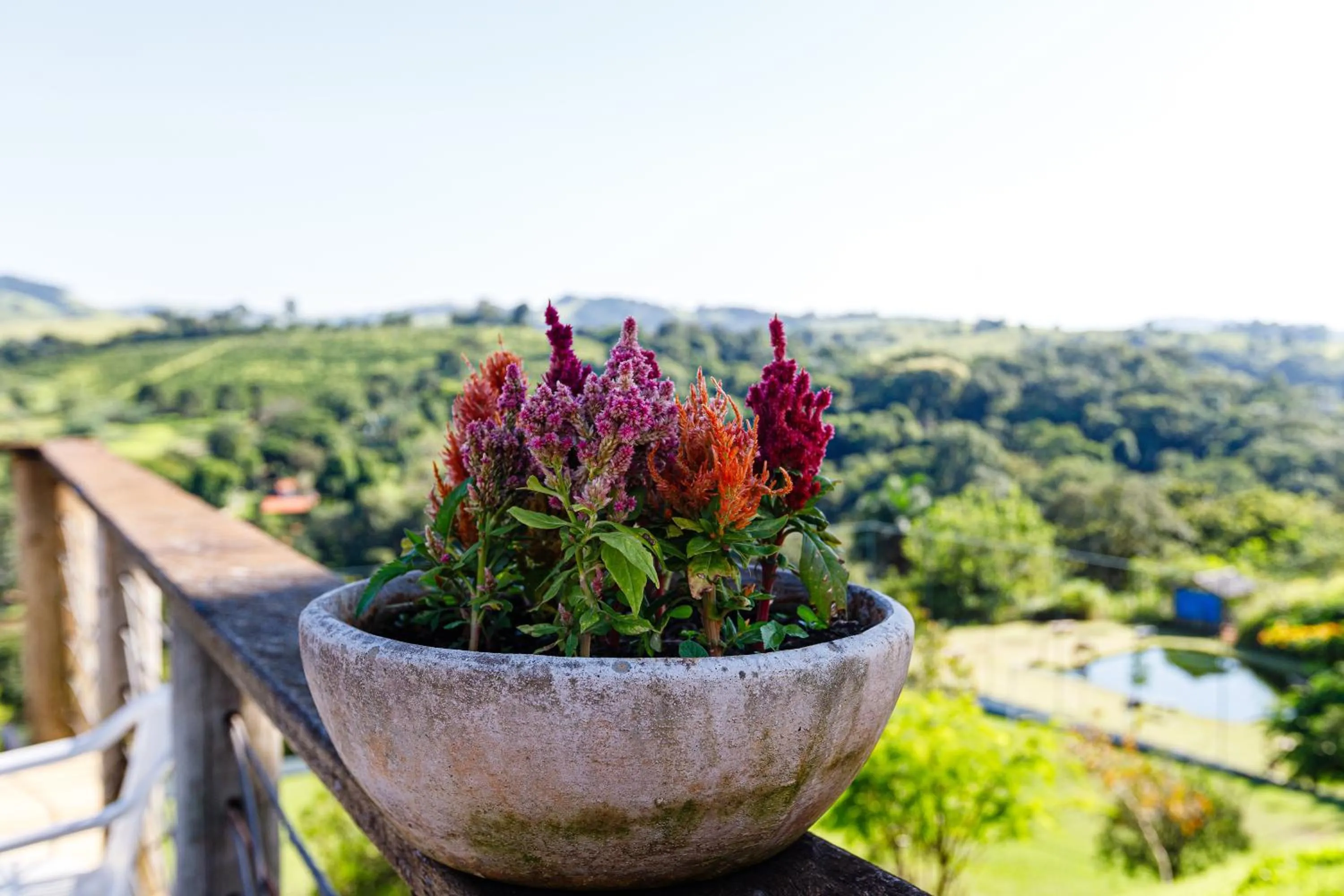 Spring in Hotel Morro De Santo Agostinho