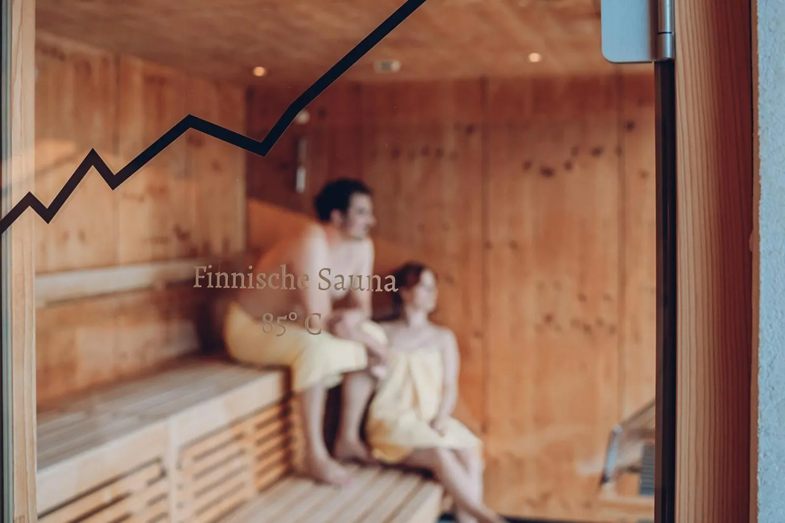 Sauna in Alpengasthof Hörnlepass