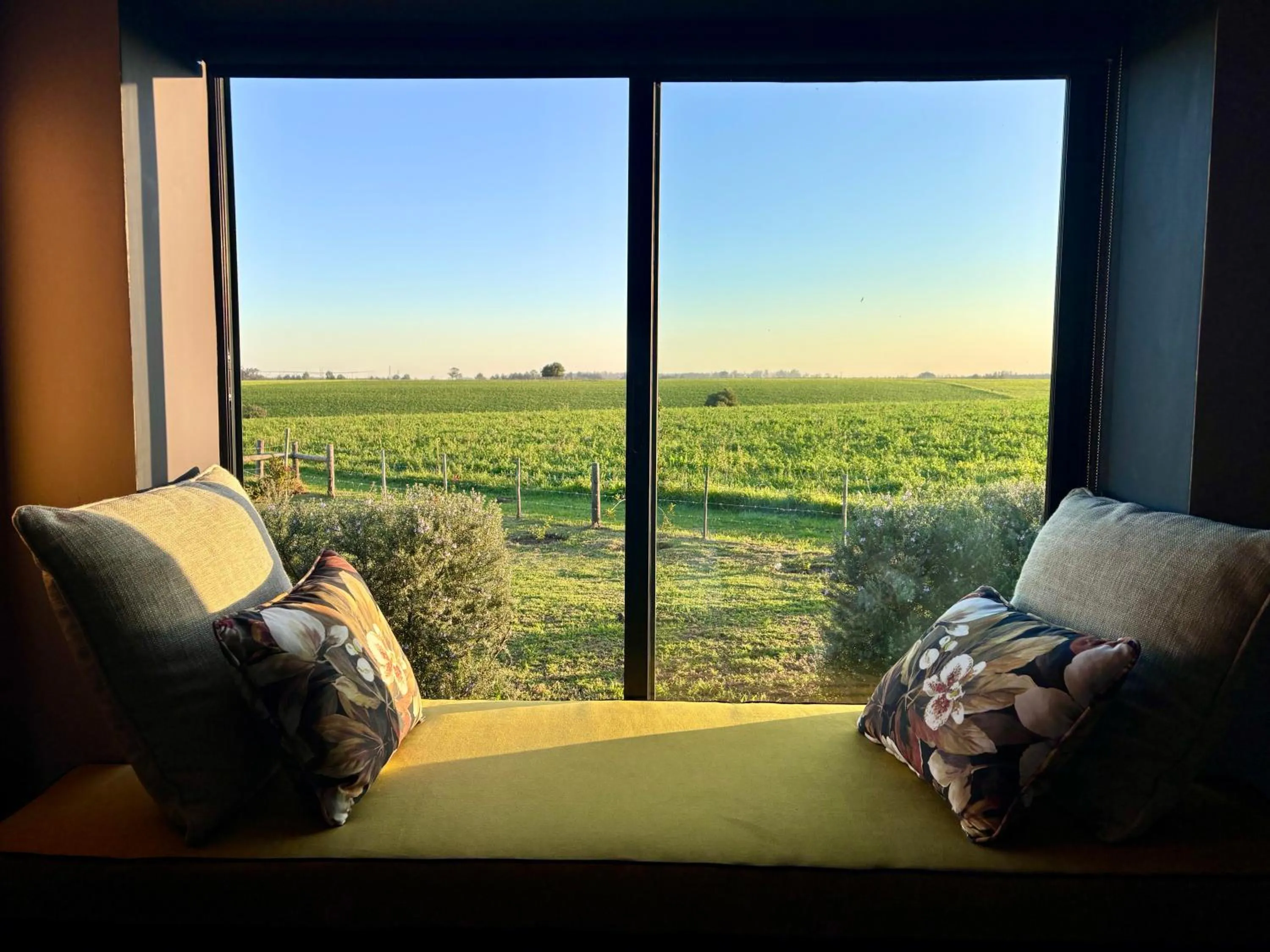 Natural landscape in Libertas Guest Farm