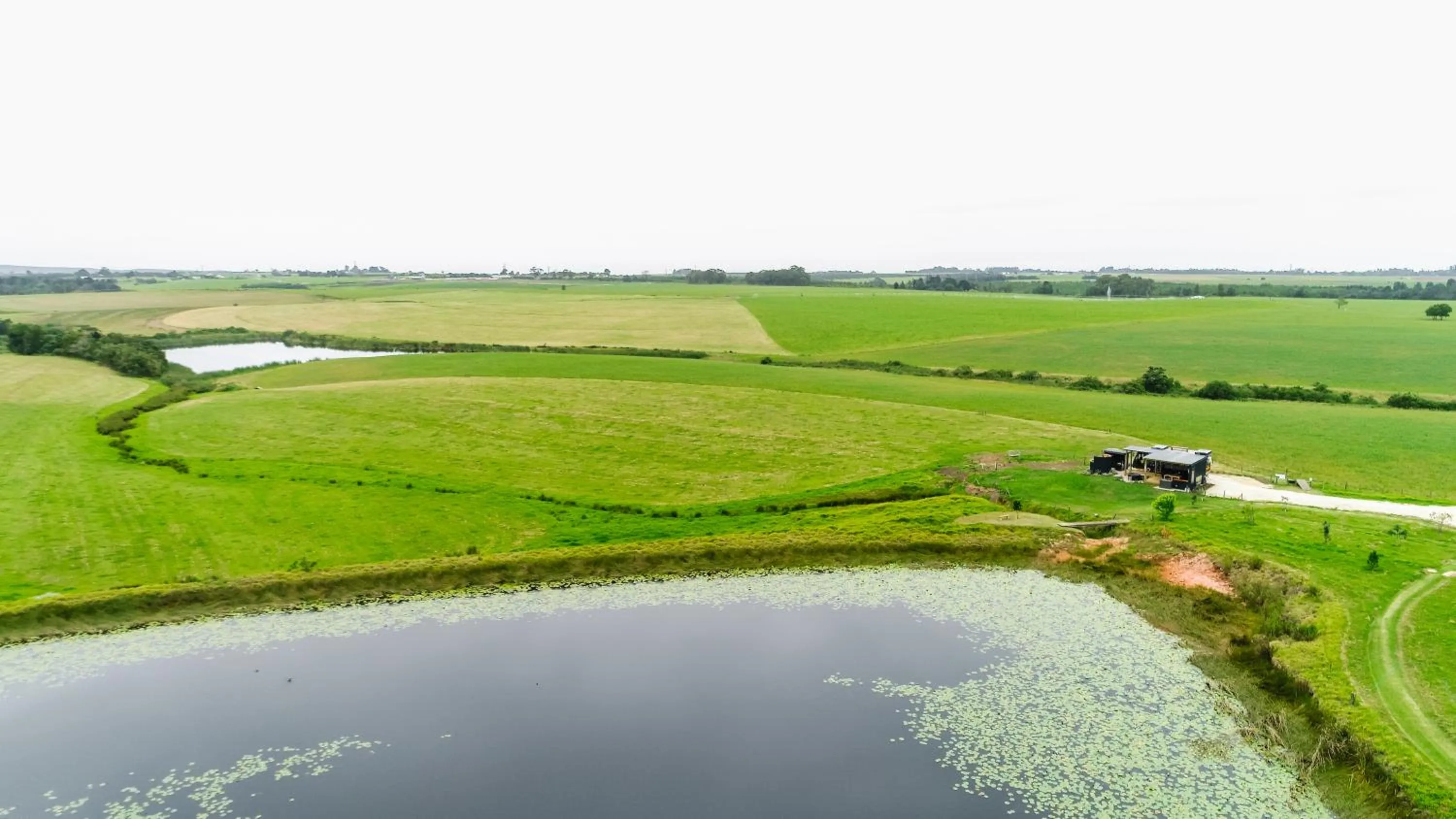 View (from property/room) in Libertas Guest Farm