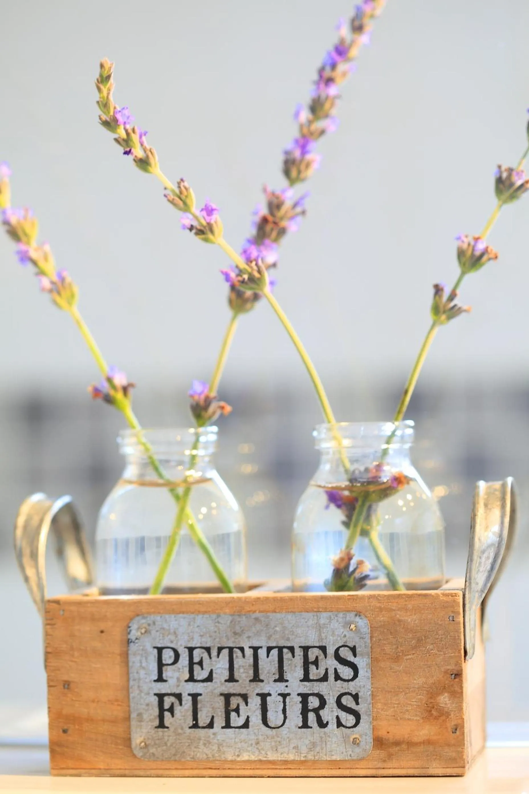 Other in Libertas Guest Farm