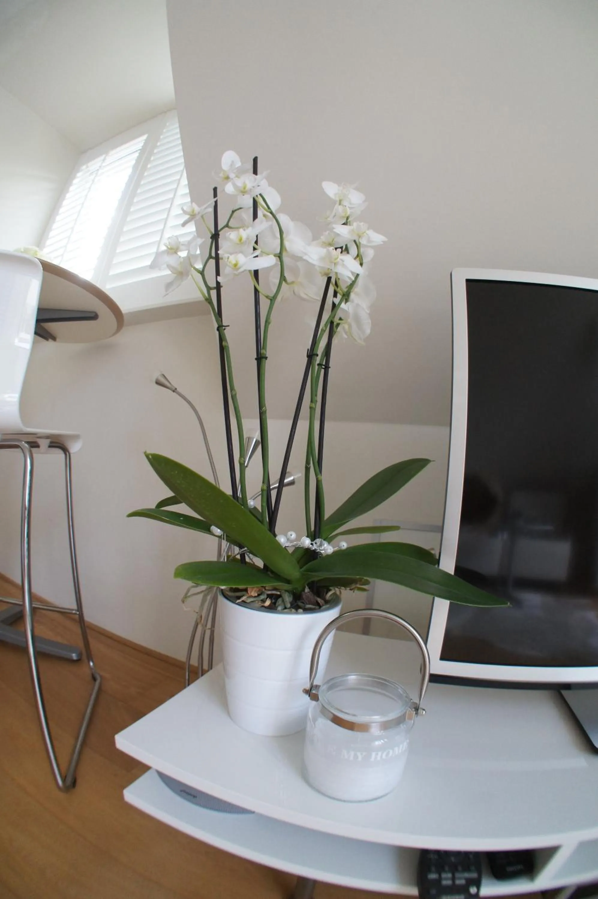 TV and multimedia in Prince On The Roof