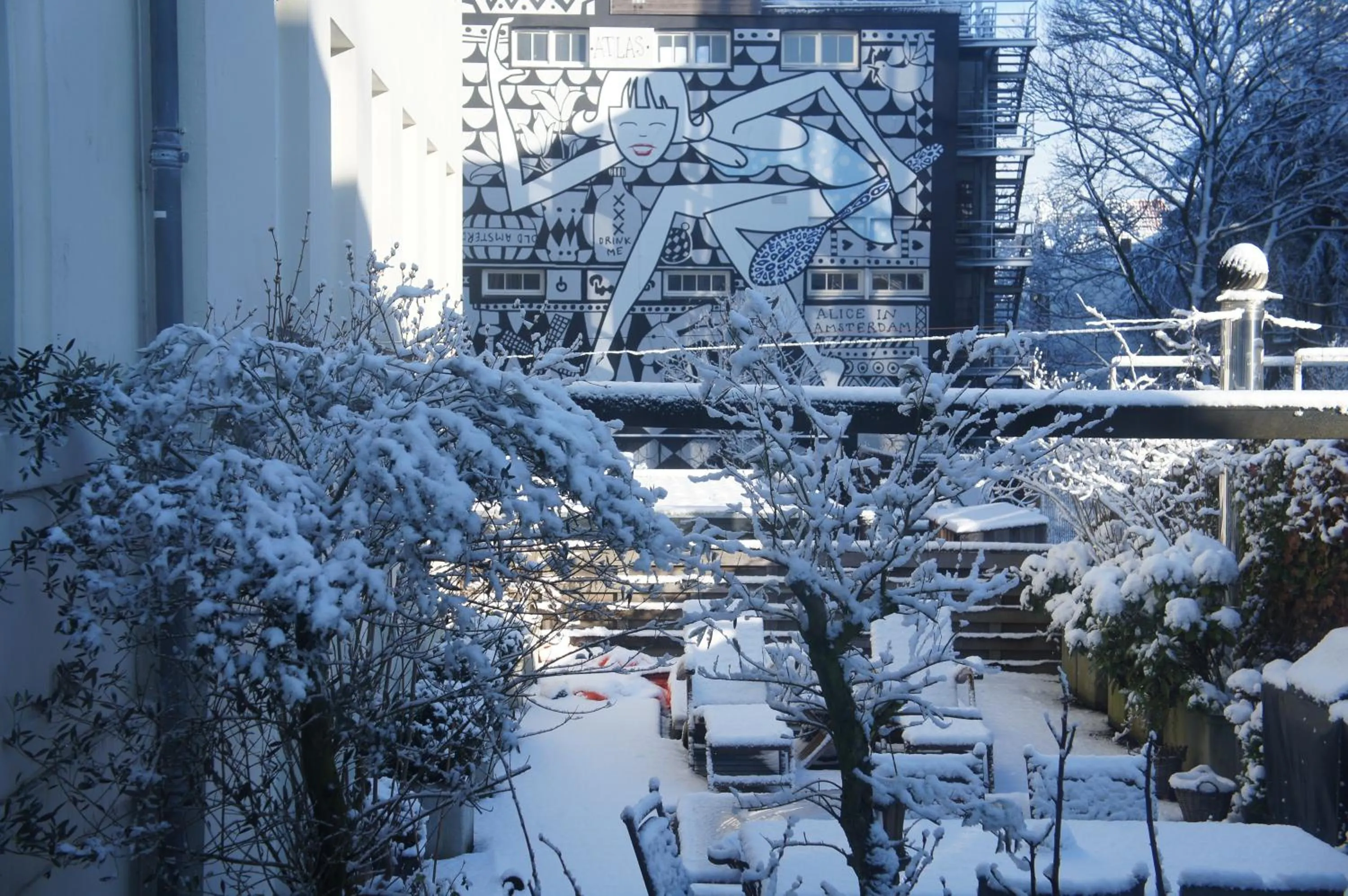 Winter in Prince On The Roof