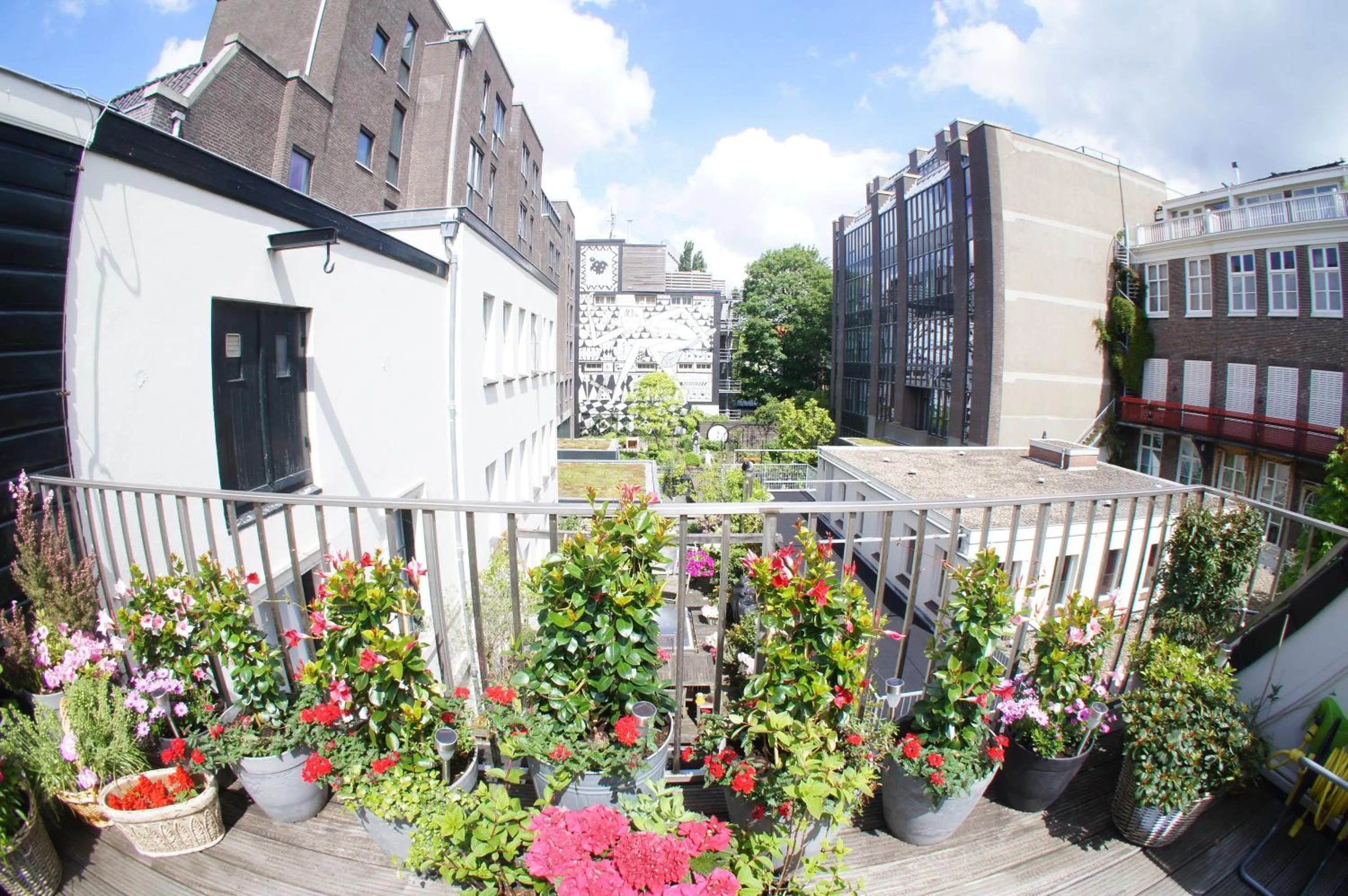View (from property/room) in Prince On The Roof