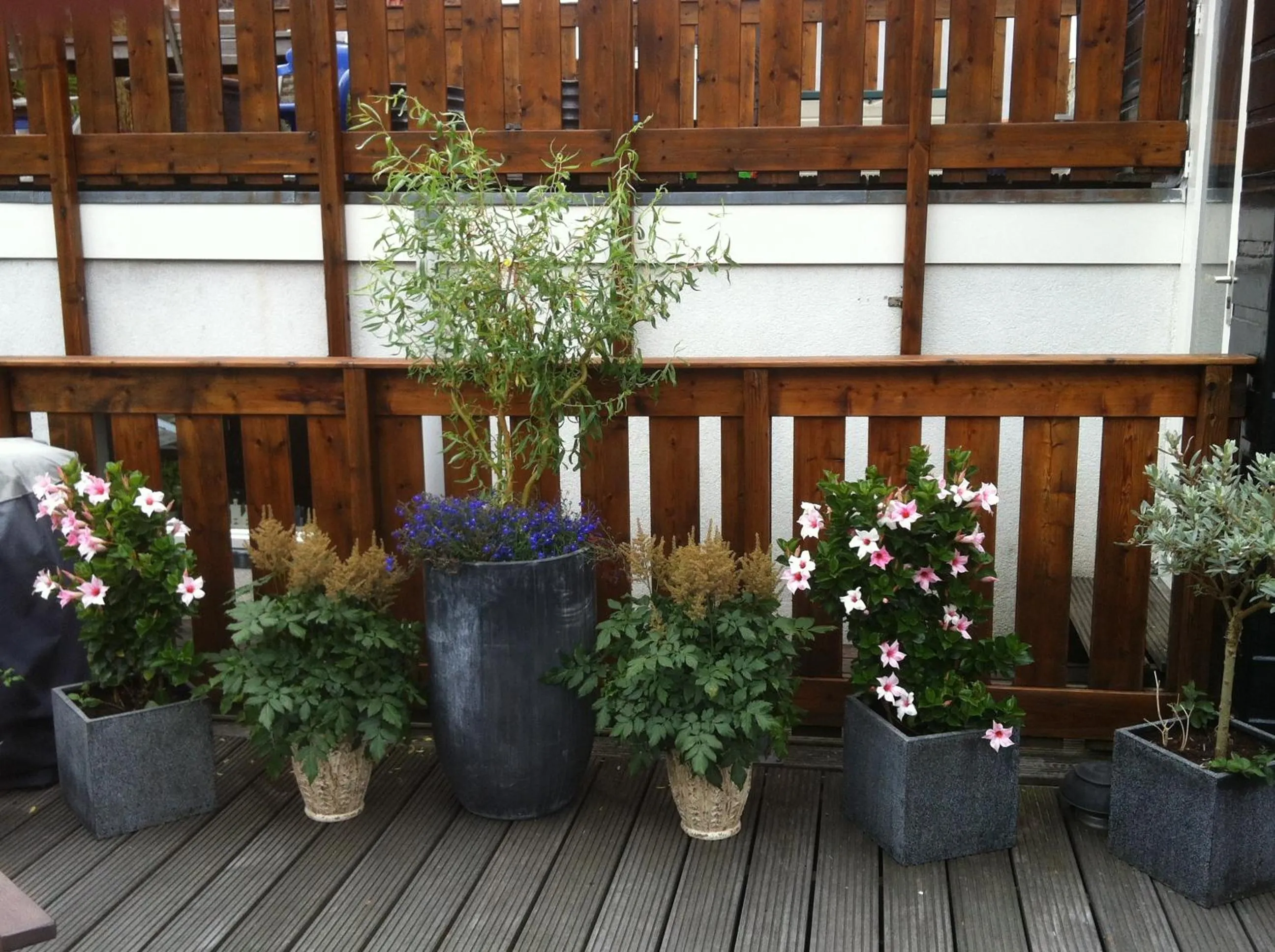 Garden in Prince On The Roof