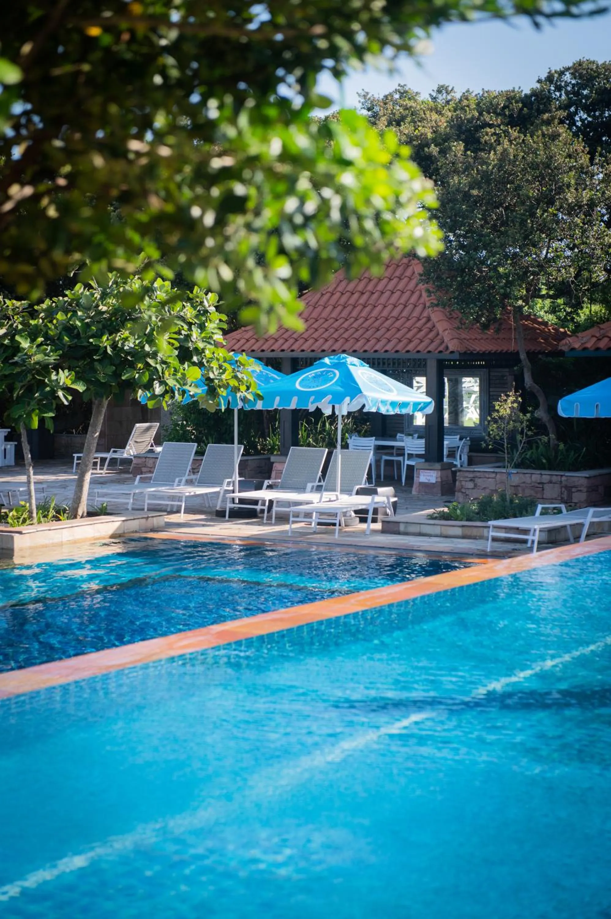 sunbed in The Capital Zimbali