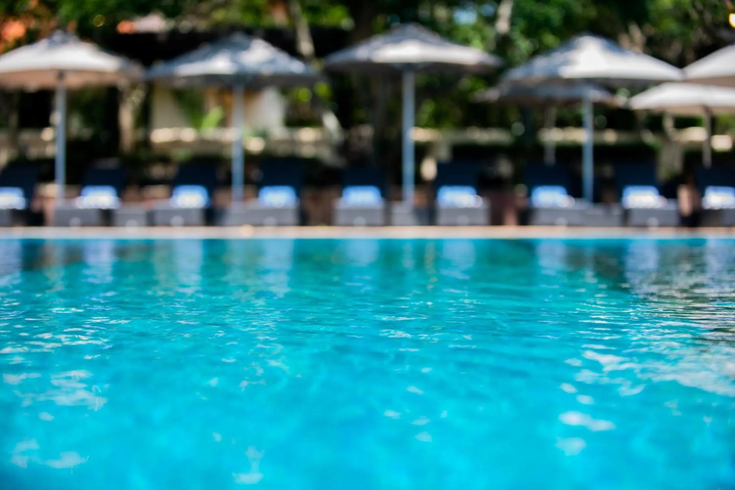 Swimming pool in The Capital Zimbali