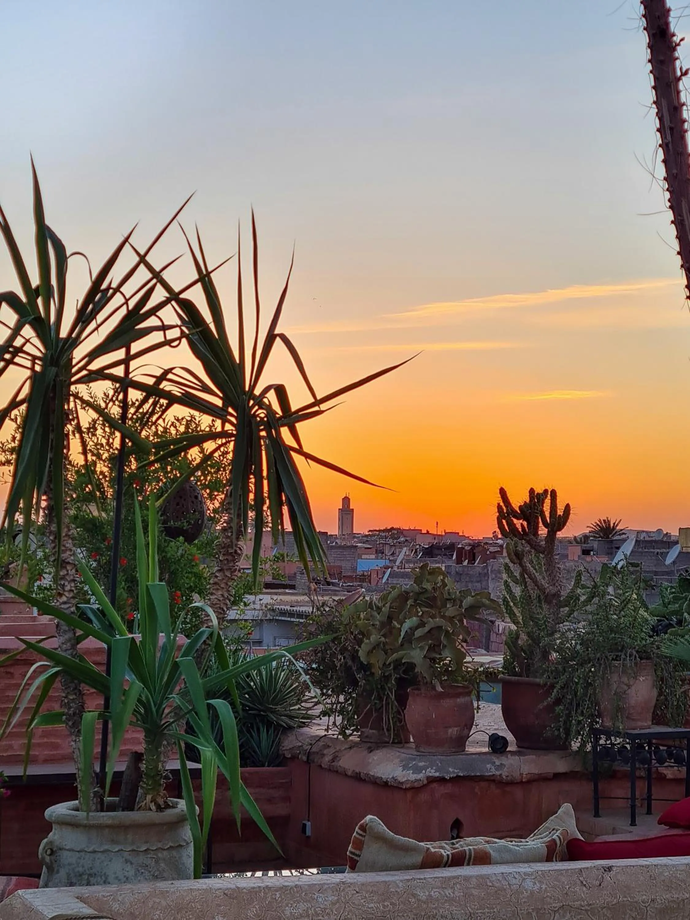 Balcony/Terrace in DAR CHIBANIA