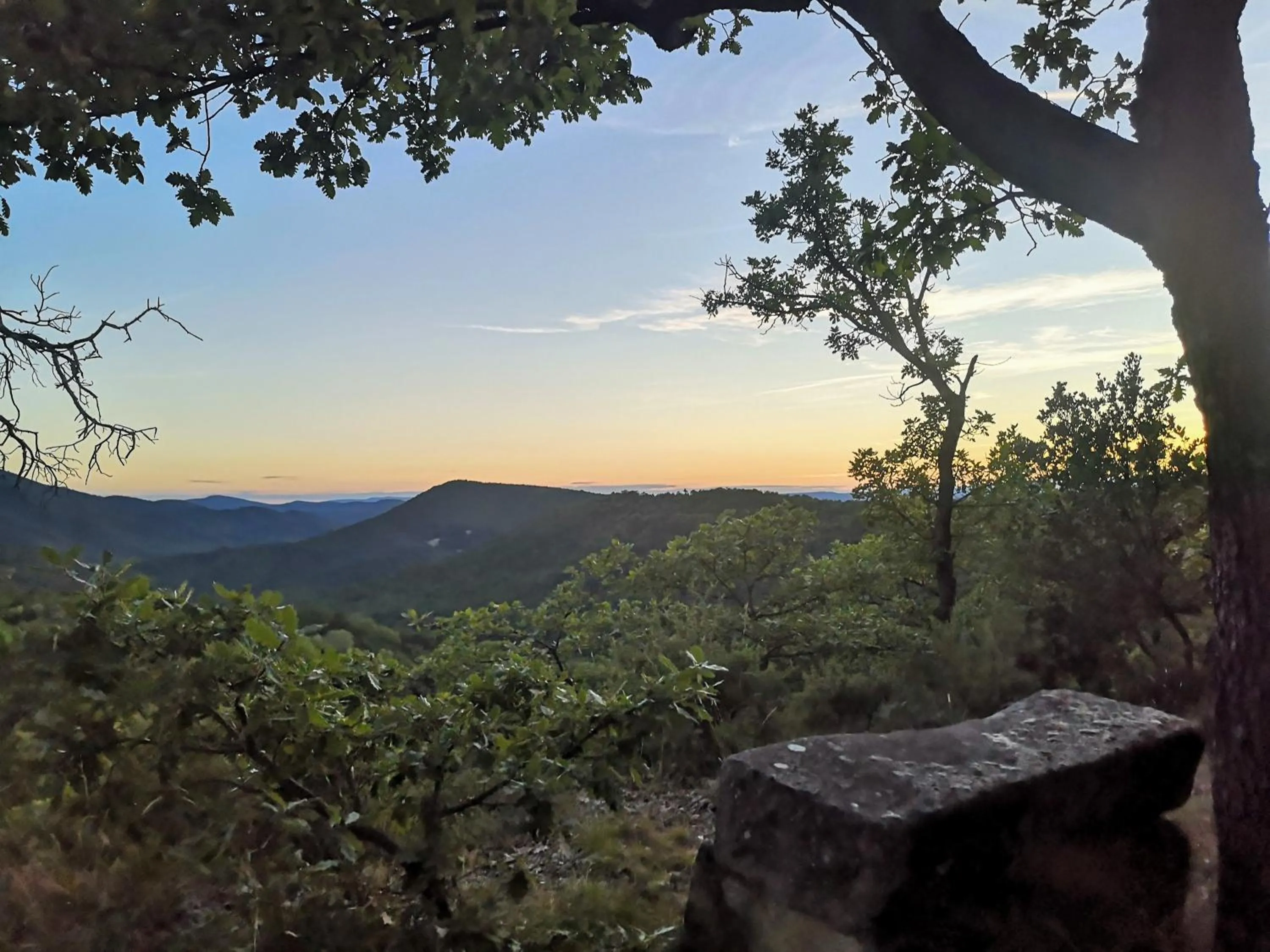 Le Jas des Cannebieres