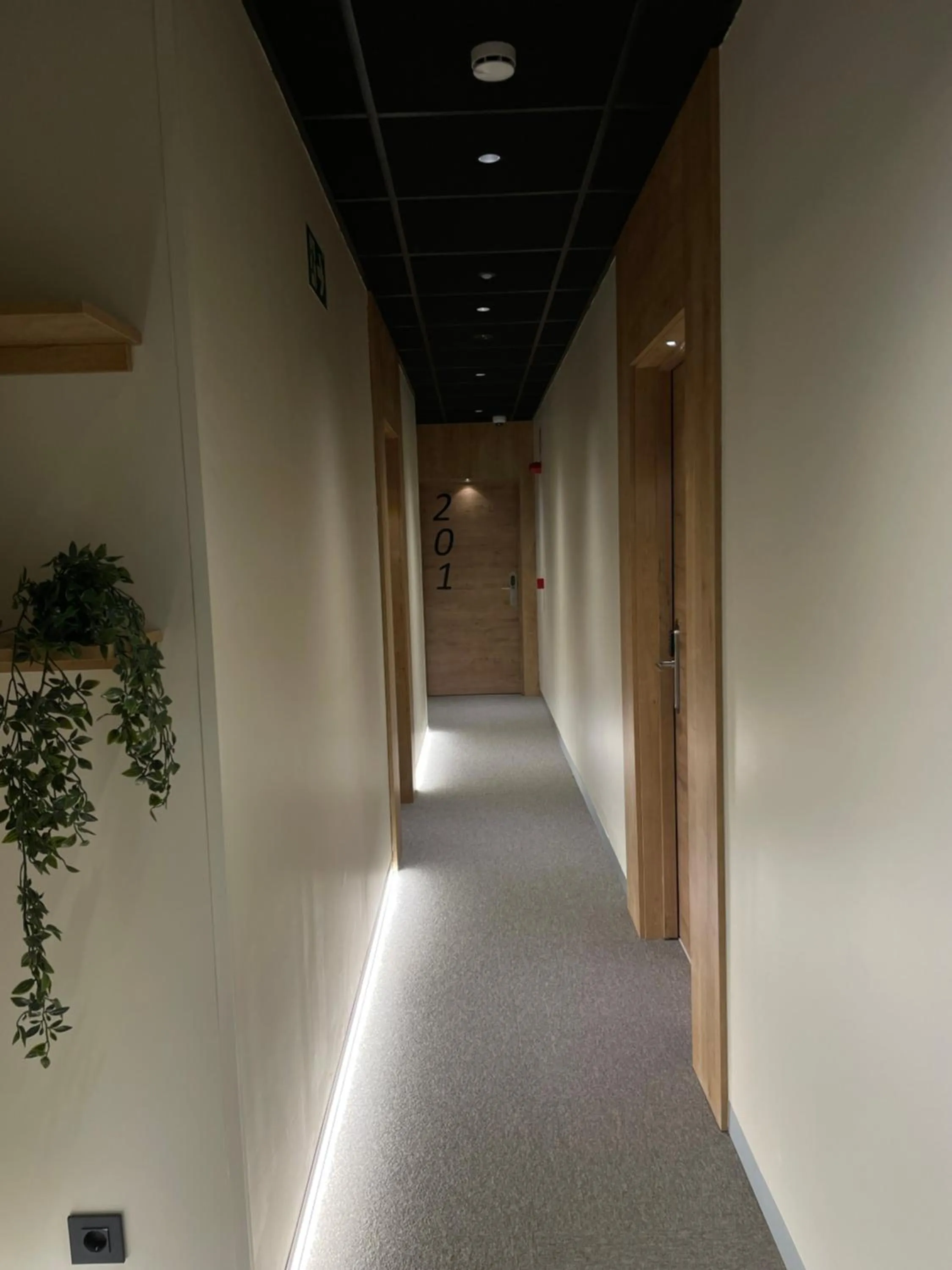 Decorative detail in Casual Fuentes