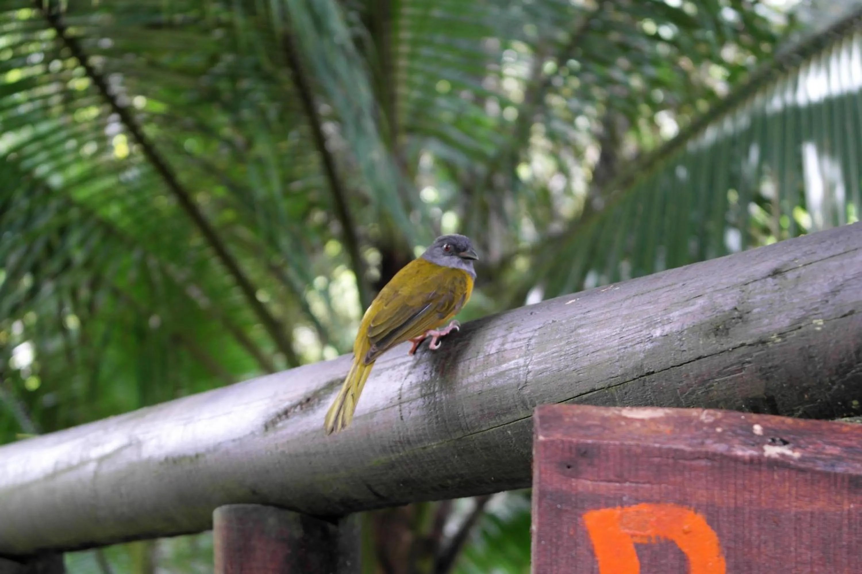 Other in Hotel Samsara