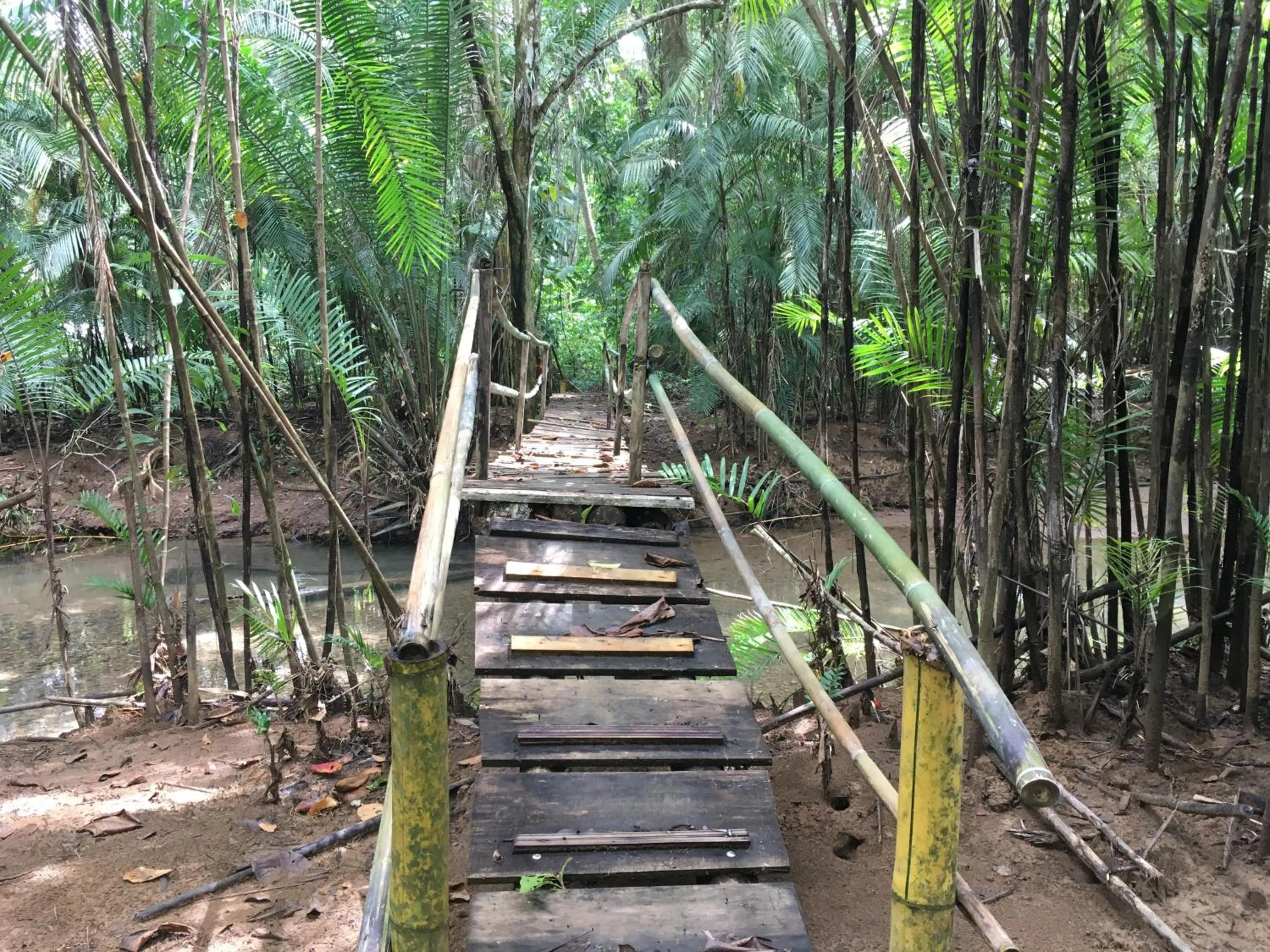 Hiking in Hotel Samsara