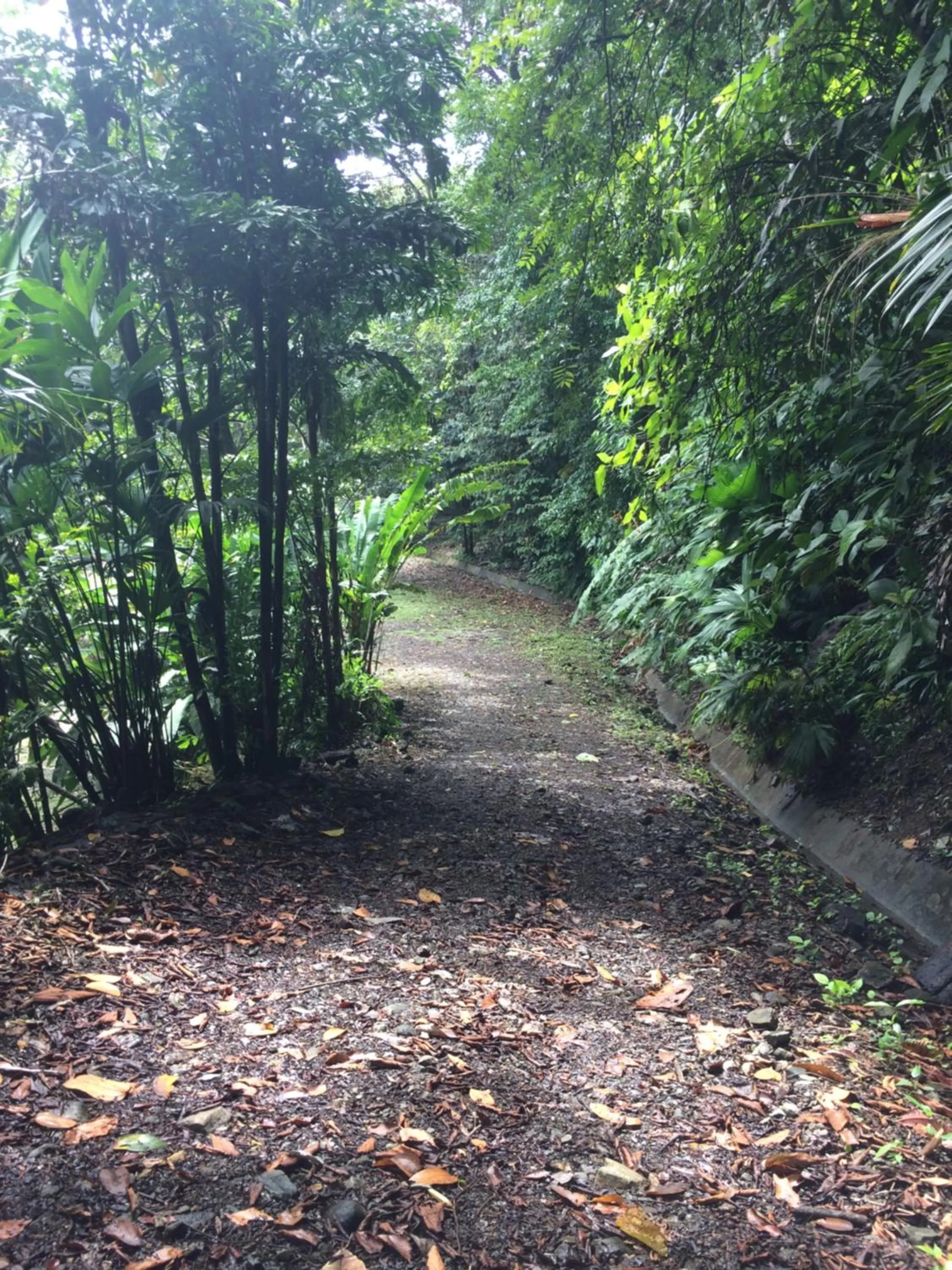 Area and facilities in Hotel Samsara