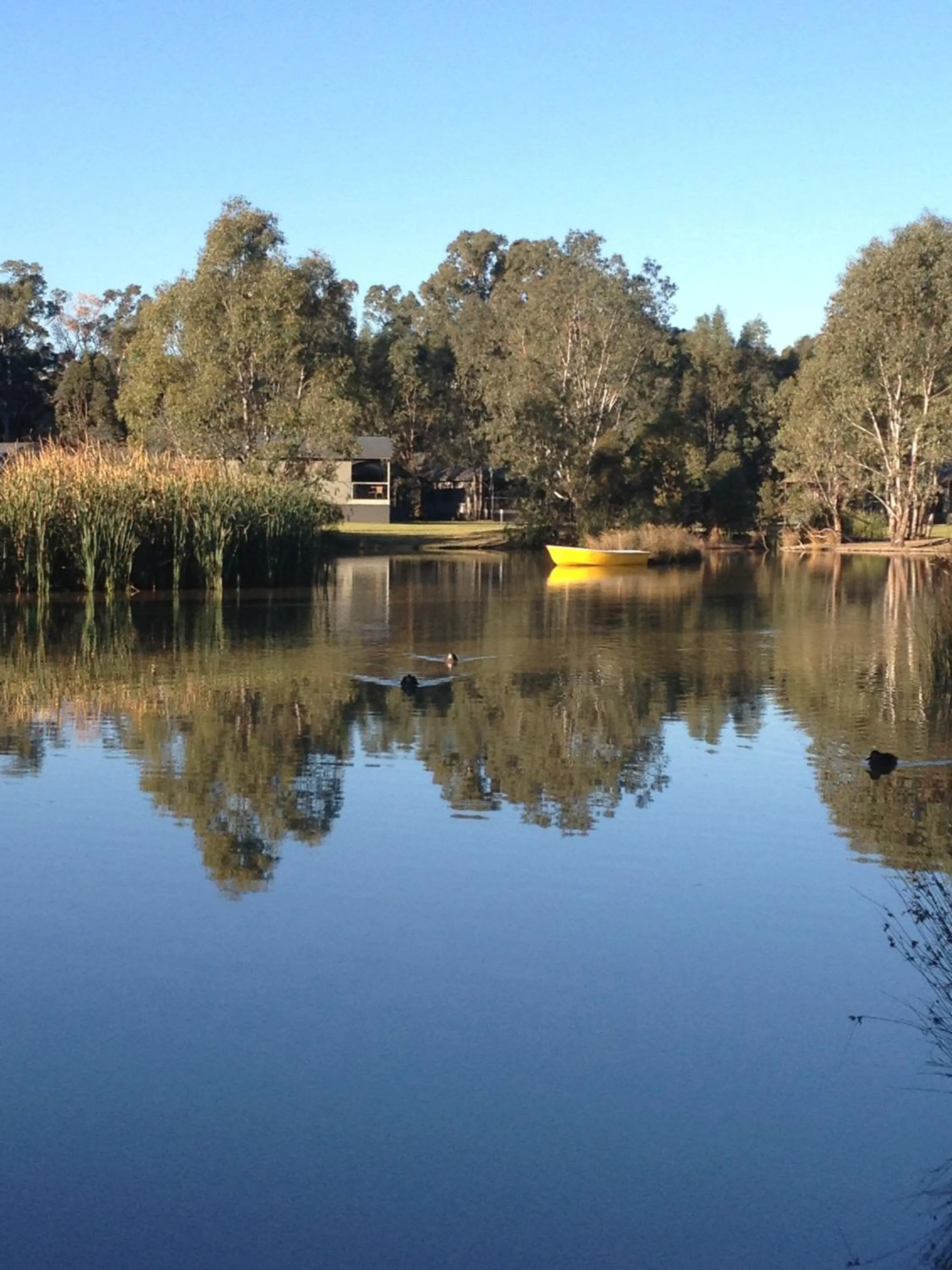 Facade/entrance in Tasman Holiday Parks - Moama on the Murray