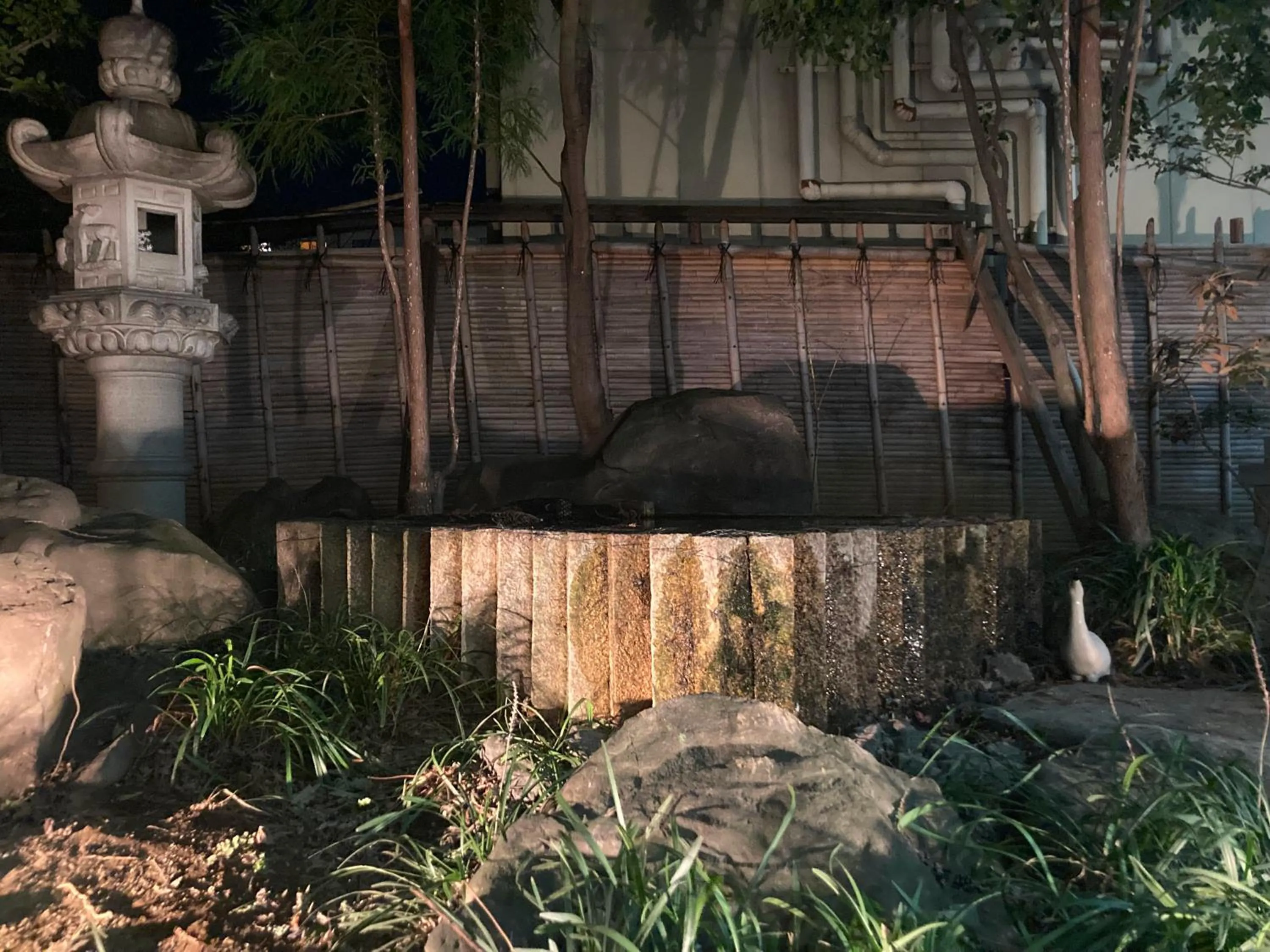 Natural landscape in Hotel Kimiyoshi