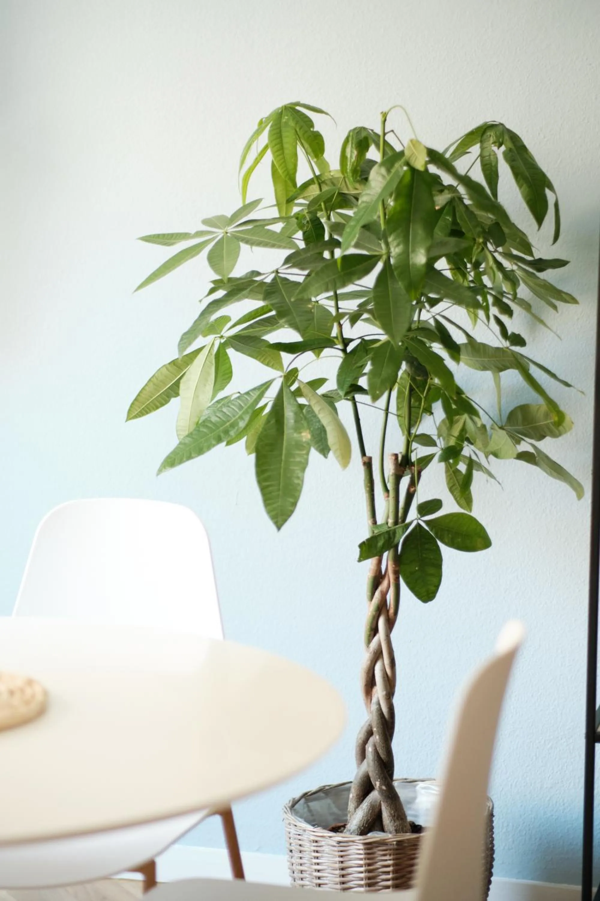 Seating area in HOSTEL Rua 35