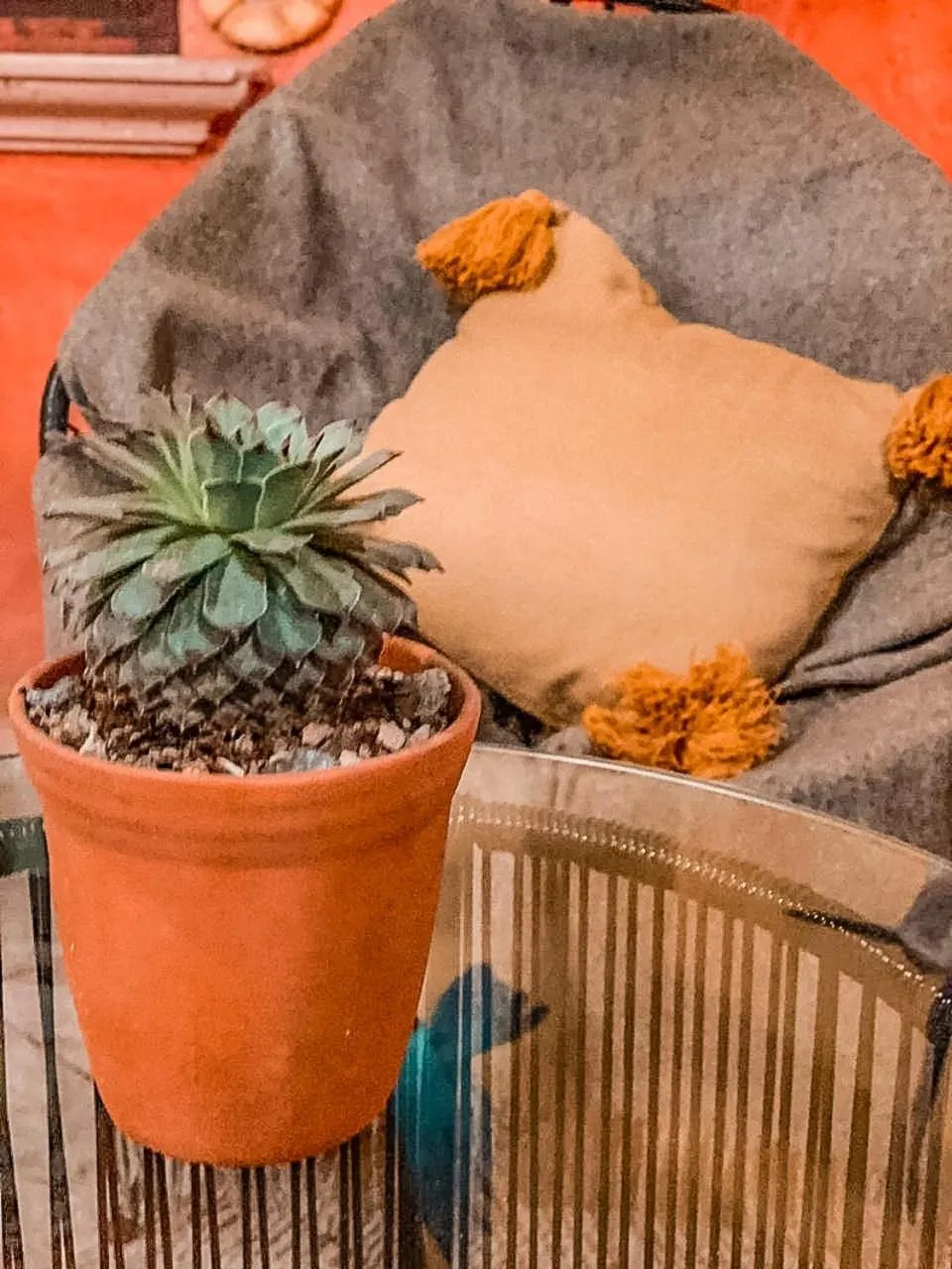 Patio in Hotel Boutique Santo Cuervo