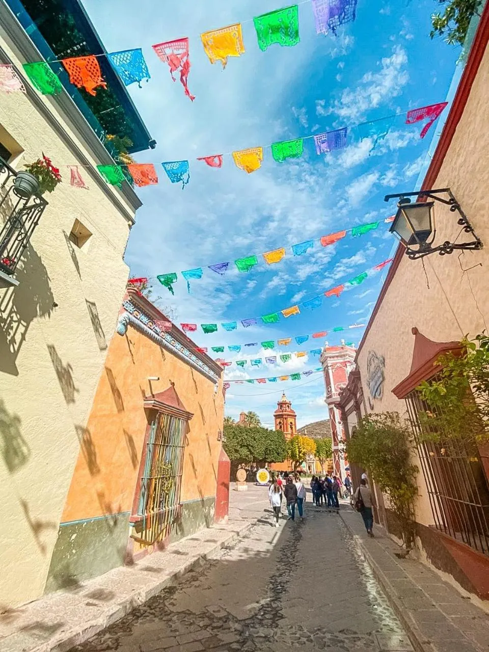 Natural landscape in Hotel Boutique Santo Cuervo