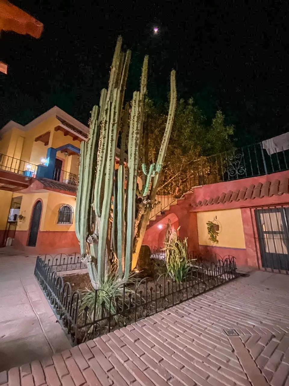 Patio in Hotel Boutique Santo Cuervo