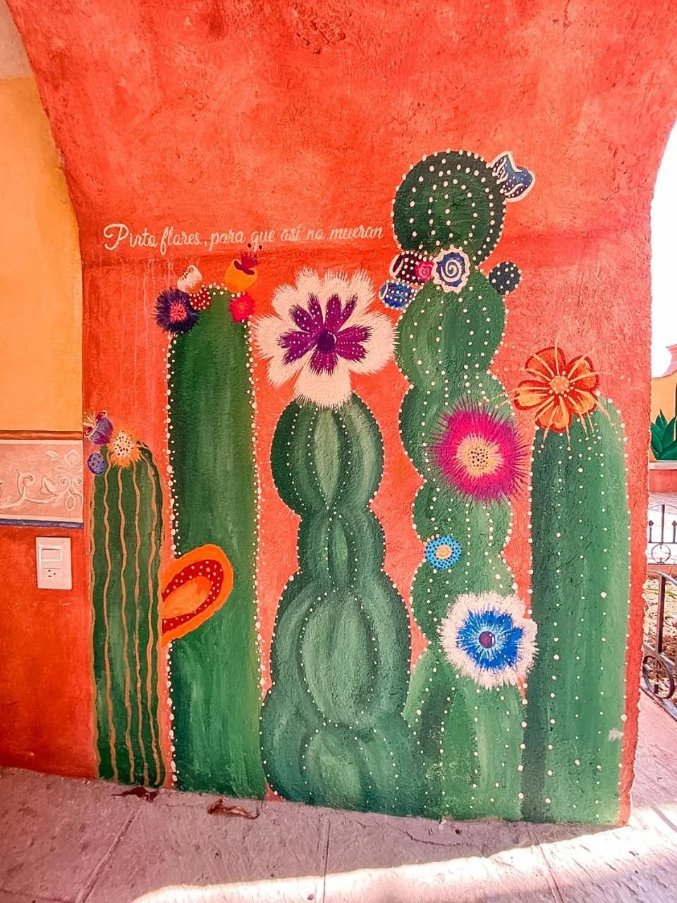 Natural landscape in Hotel Boutique Santo Cuervo