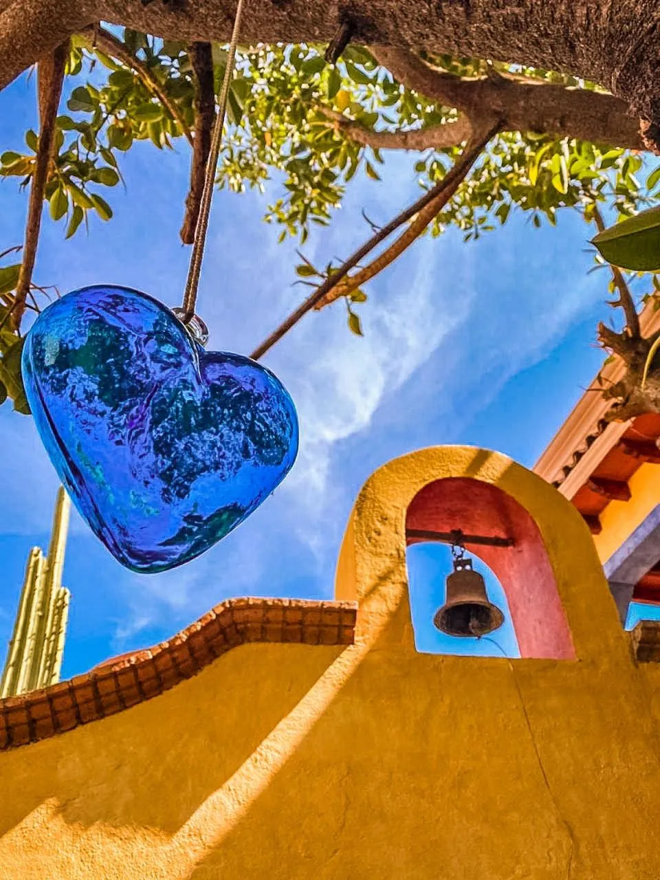 Garden view in Hotel Boutique Santo Cuervo