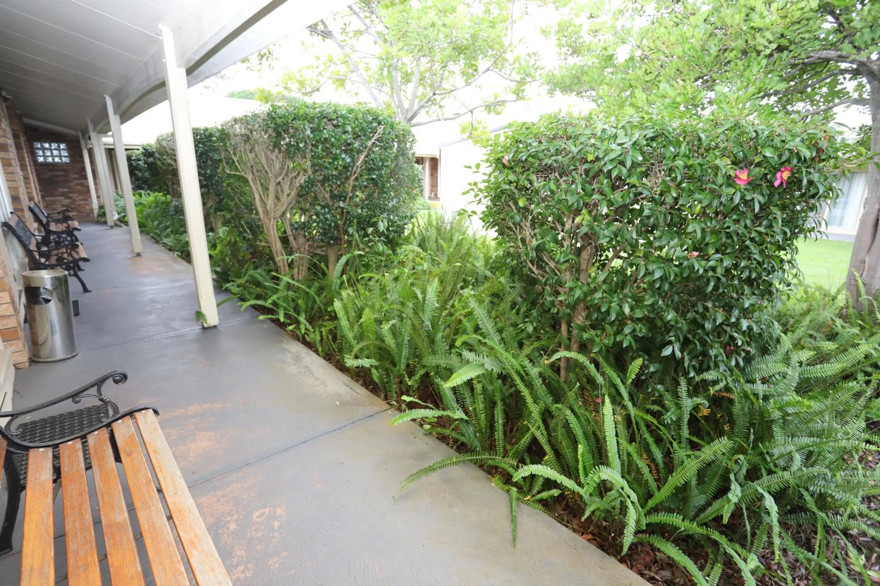 Garden in Sleepy Hill Motor Inn