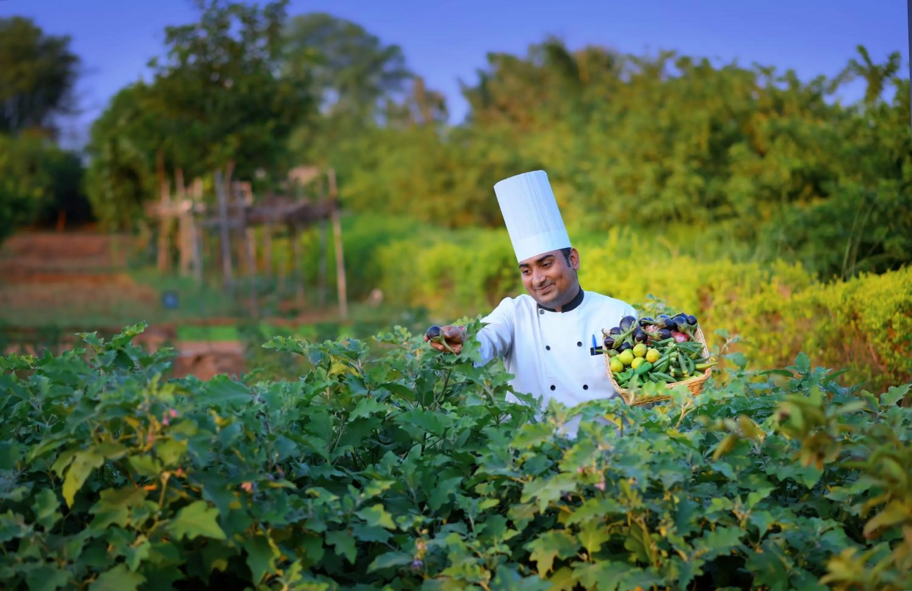 Garden in The Pugmark, A Wildlife Resort