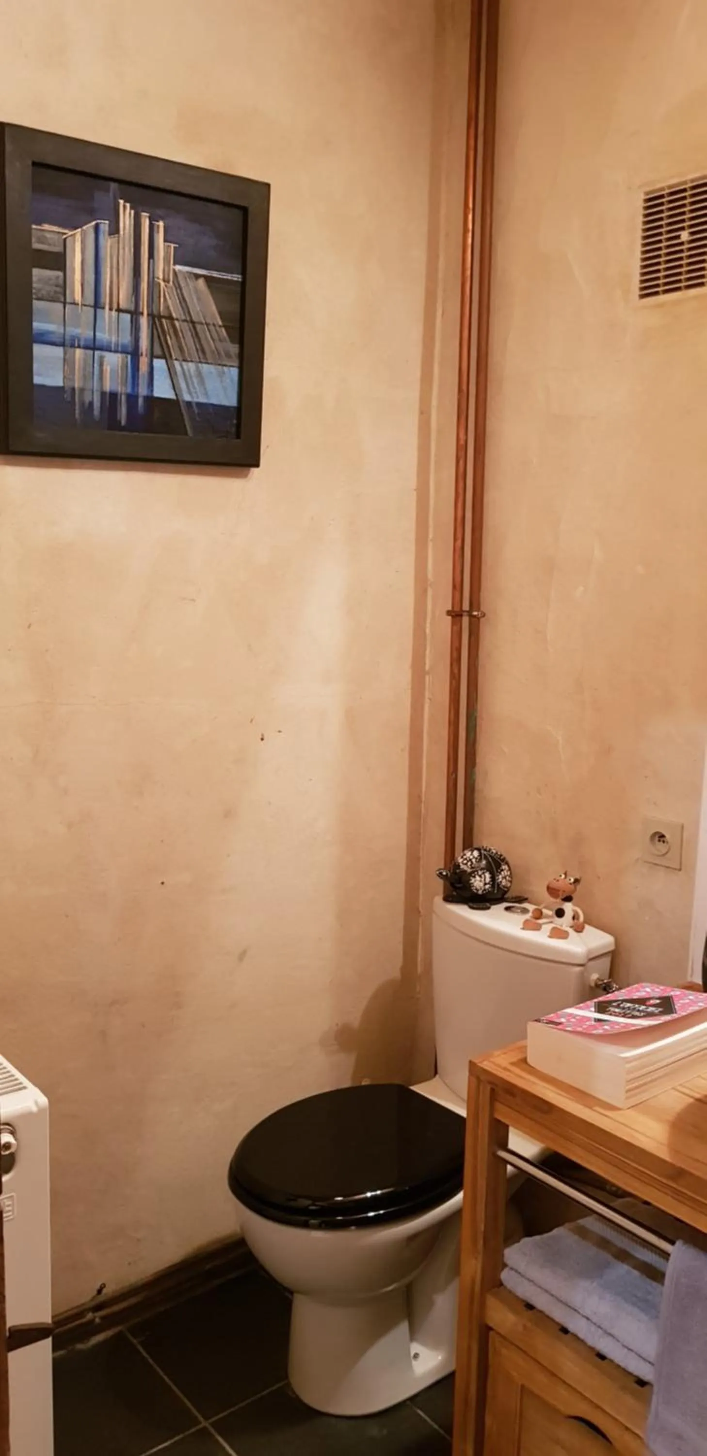 Toilet in Château de la Cressonnière