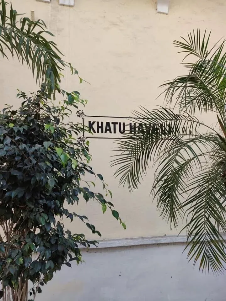 Property building in Khatu Haveli