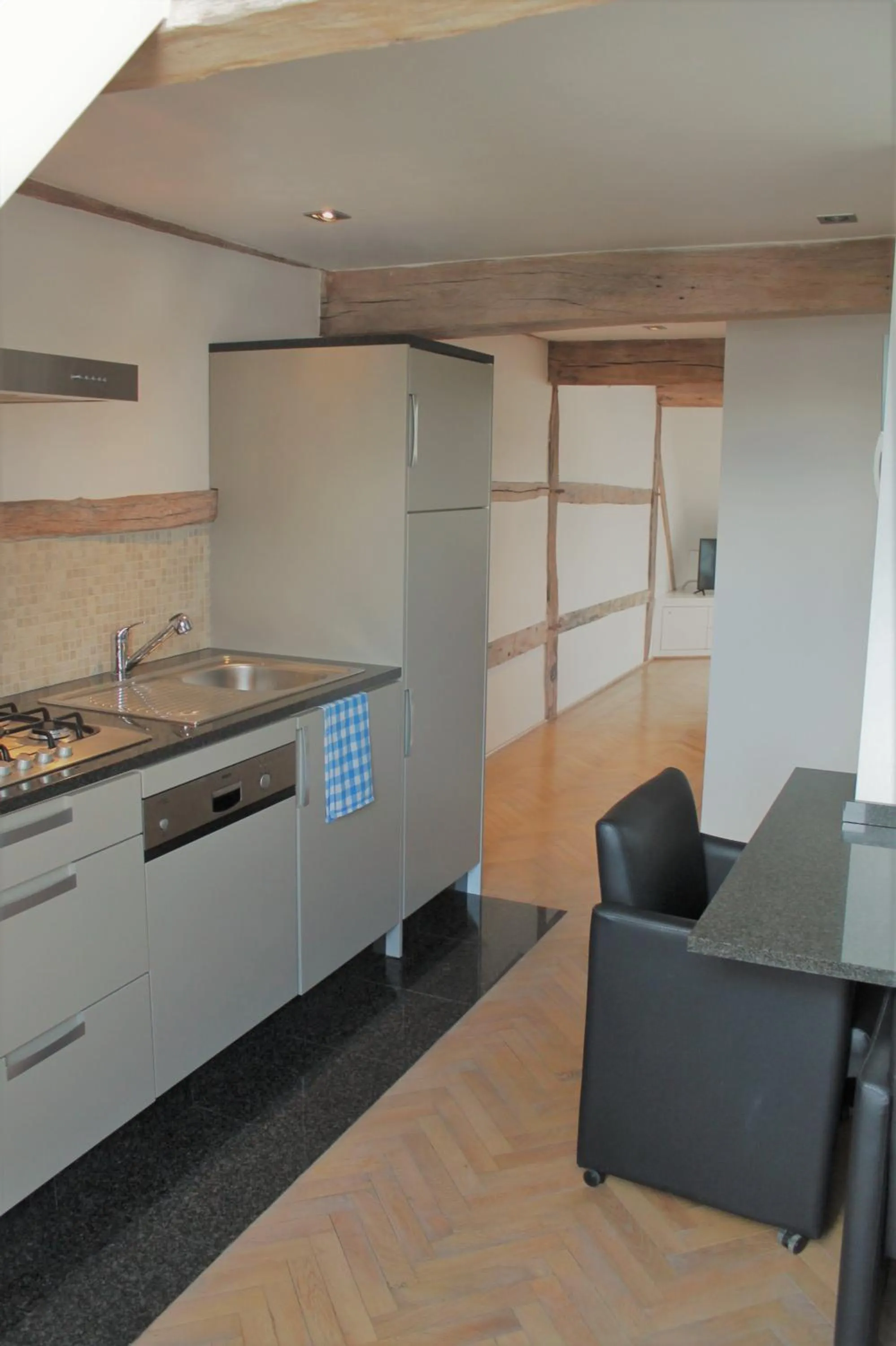 Kitchen or kitchenette in Apartment De Maasnacht