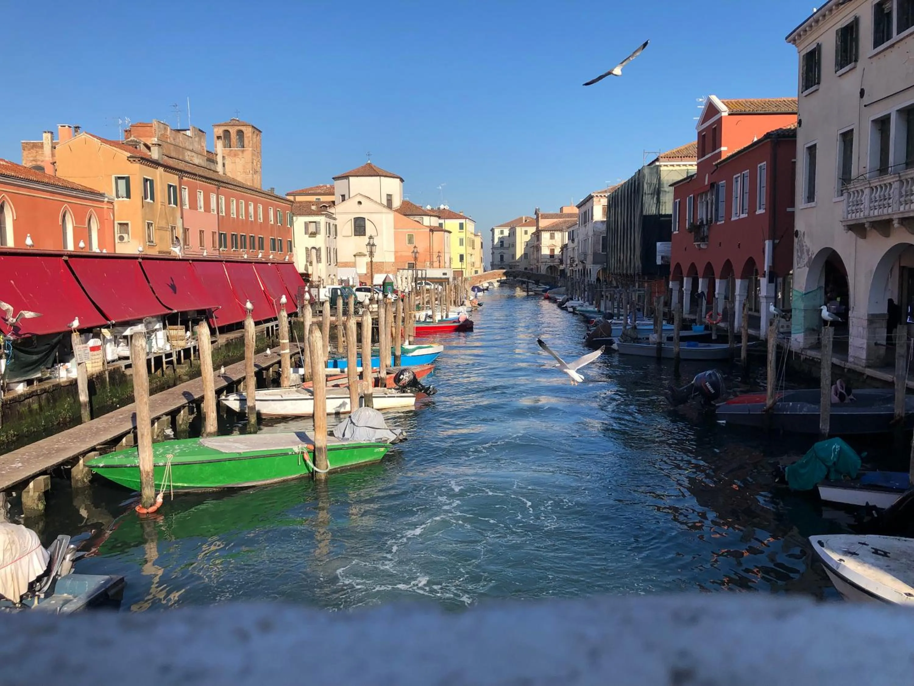 Natural landscape in Laguna Suite B&B