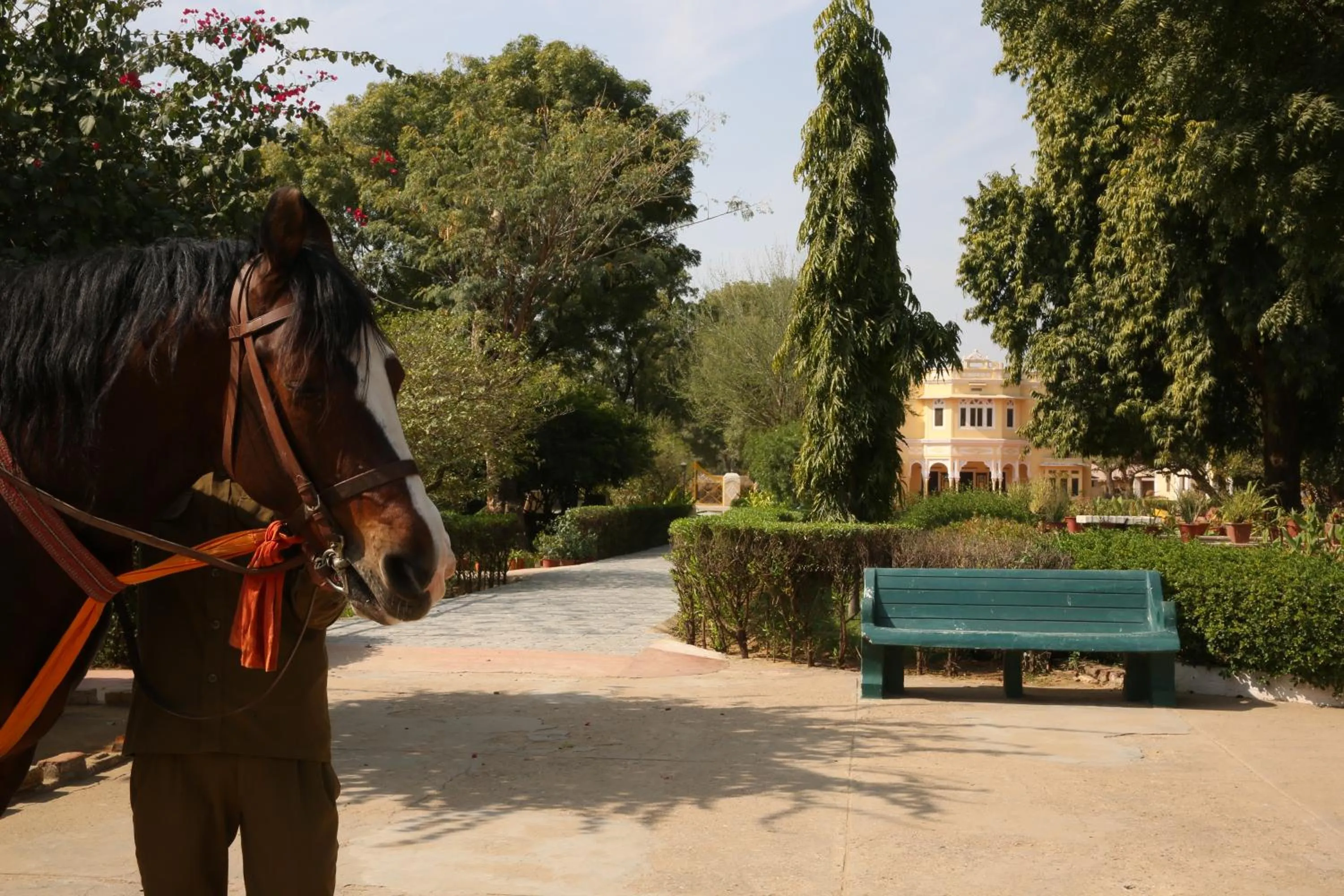 Pets in Roop Niwas Kothi, Near Mandawa