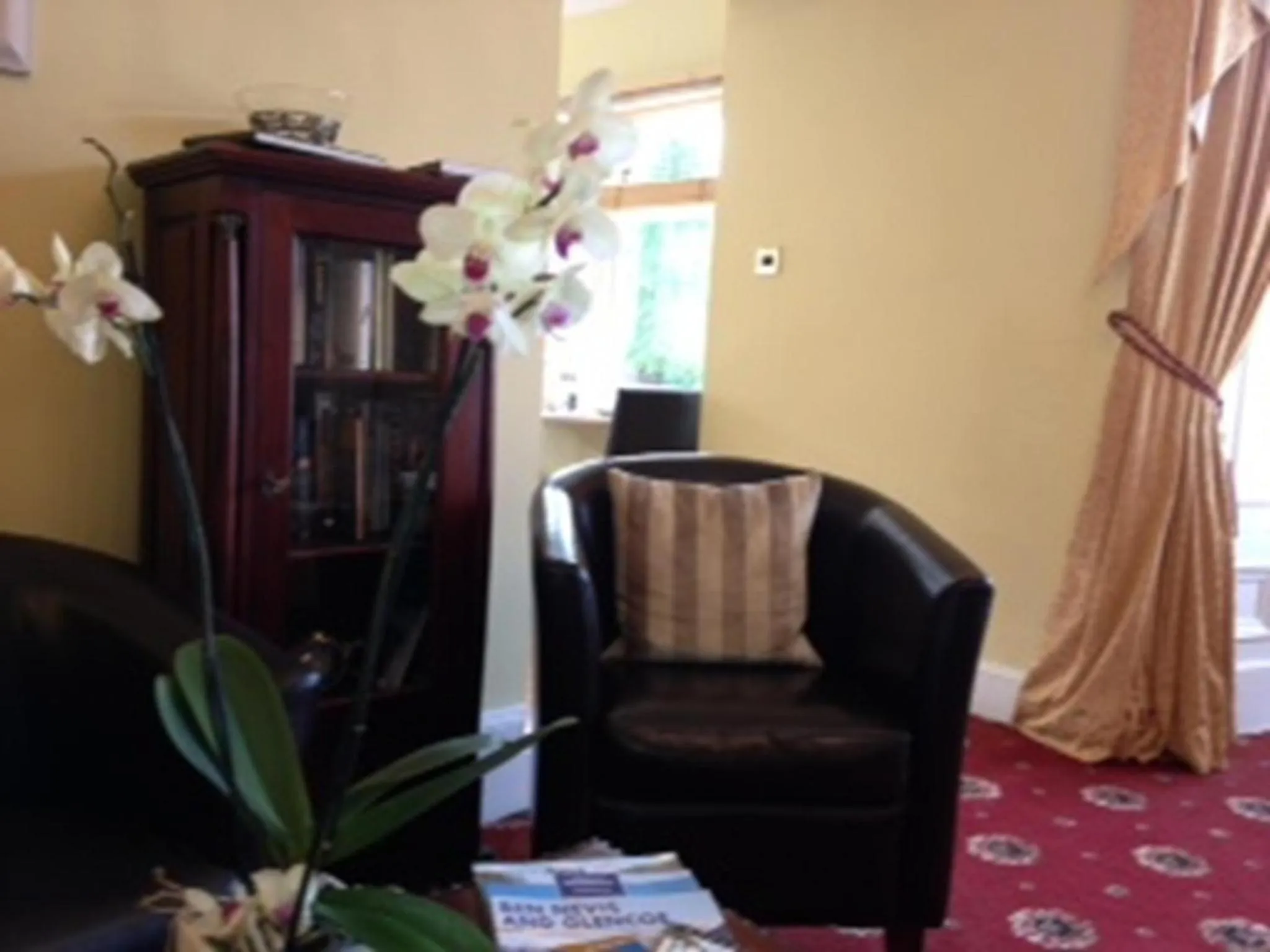 Day in Buccleuch Guest House