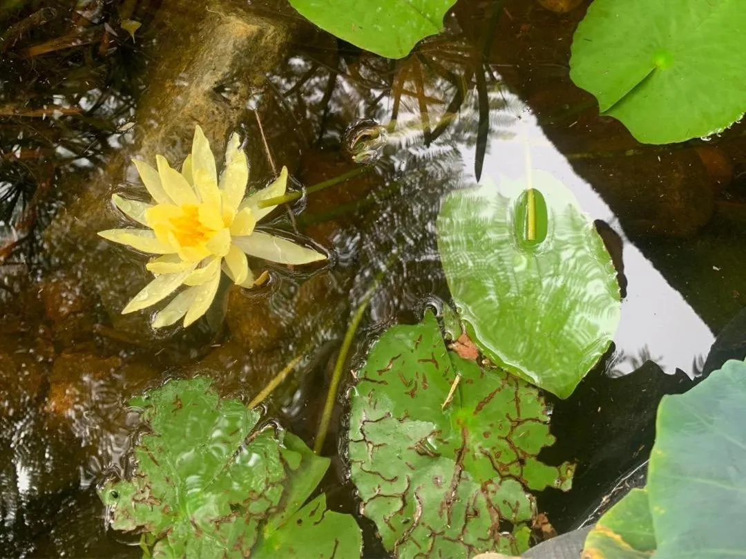 Patio in Shepherd Lodge