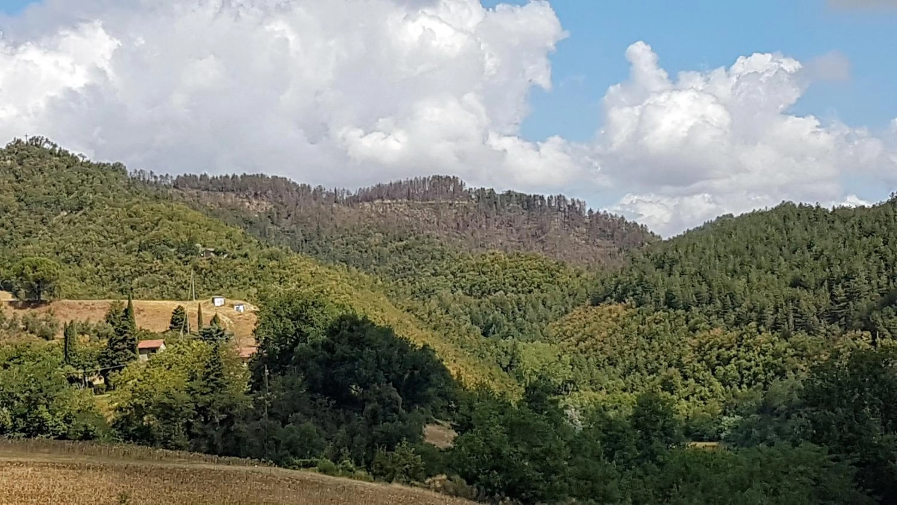 Hiking in #FortCozzo - JacuzziSuite & Sauna - Casola Valsenio