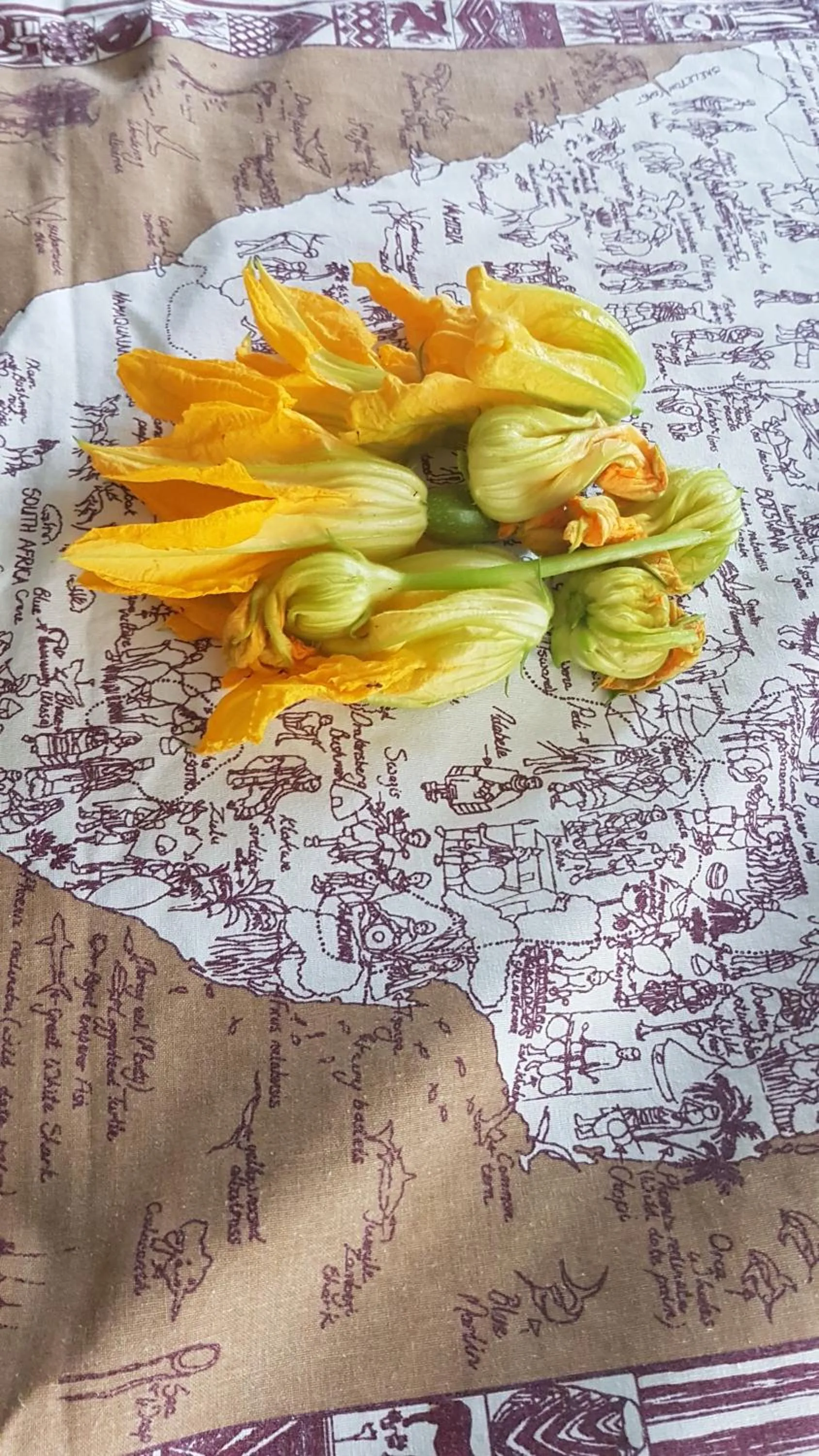 Meals in #FortCozzo - JacuzziSuite & Sauna - Casola Valsenio