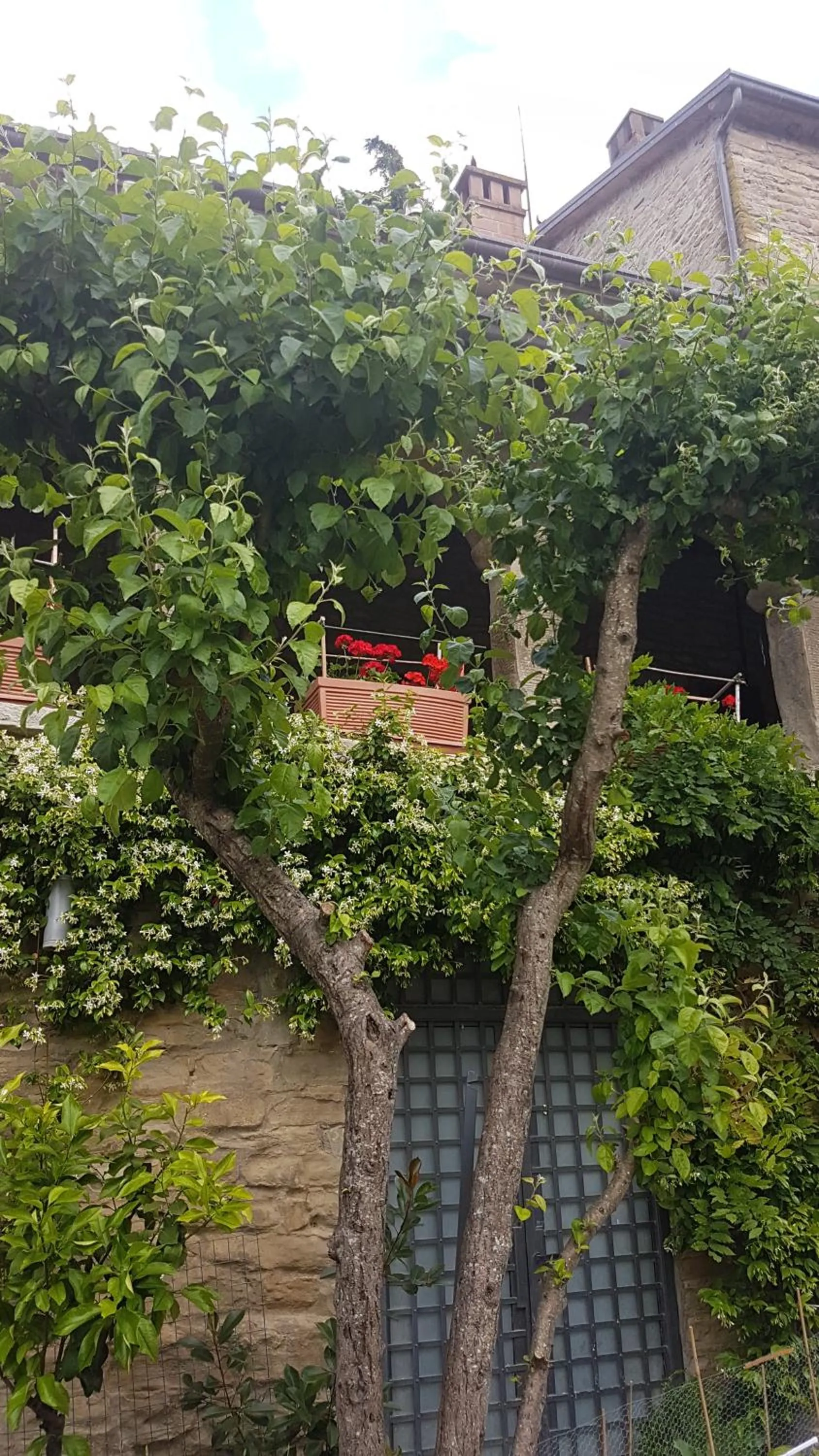 Property building in #FortCozzo - JacuzziSuite & Sauna - Casola Valsenio