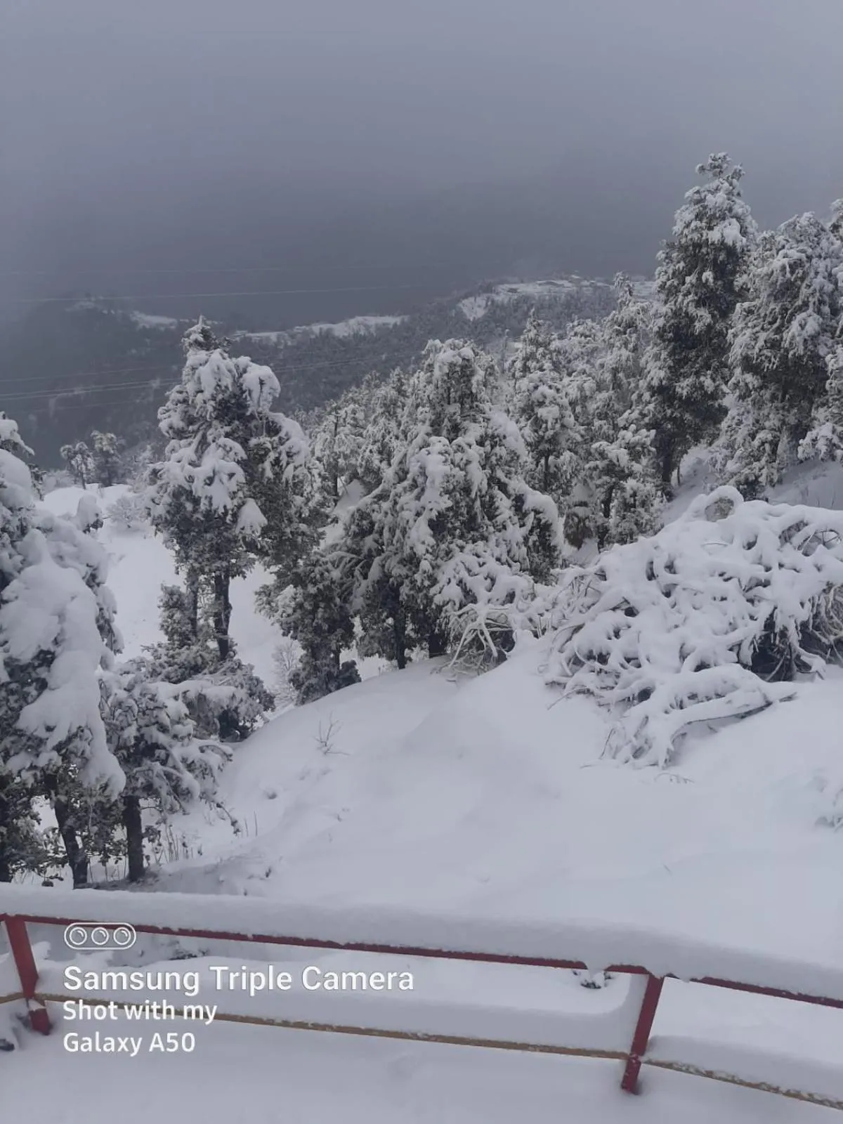 View (from property/room) in Dev Bhoomi Resort