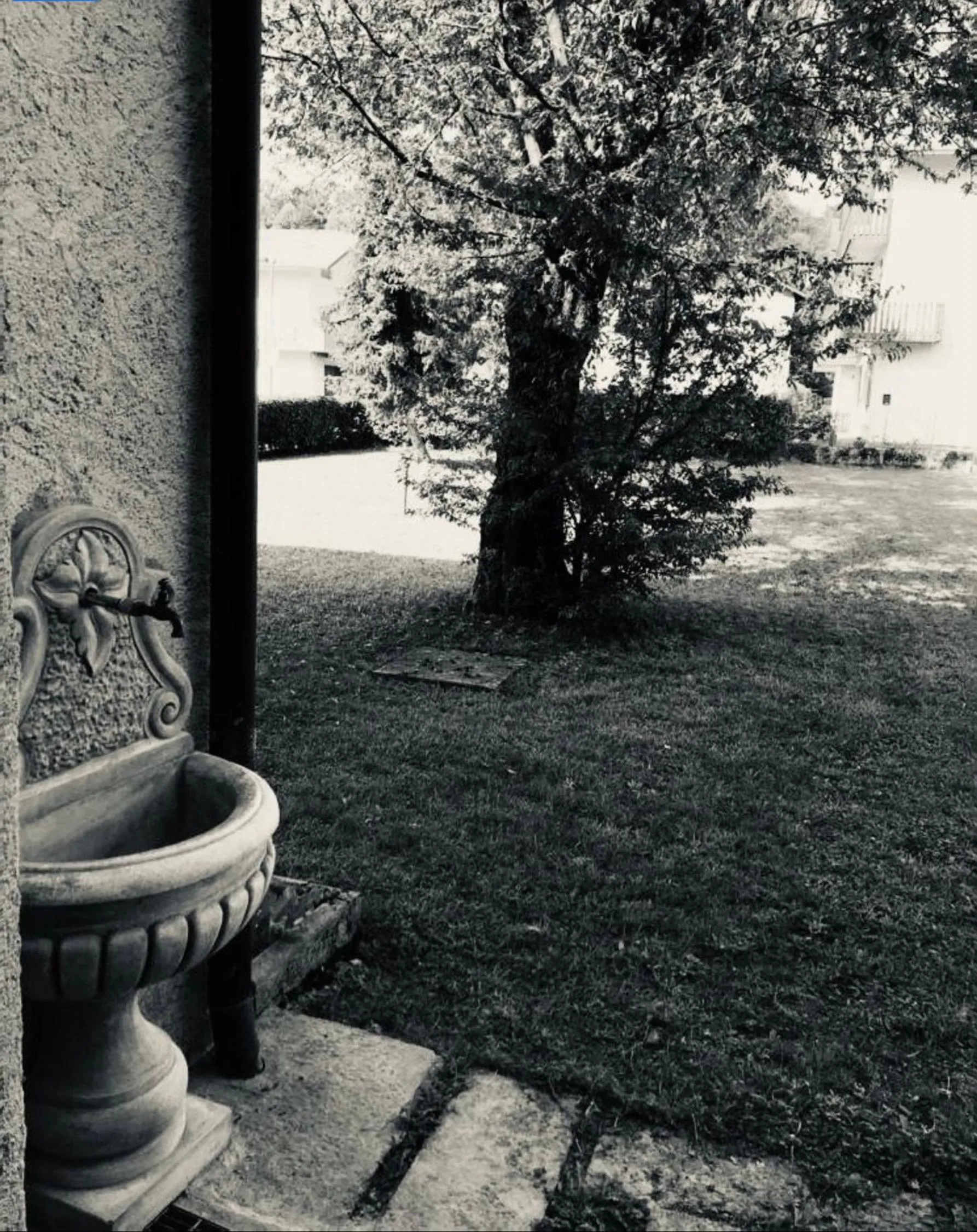 Garden in Antica Villa Sophie