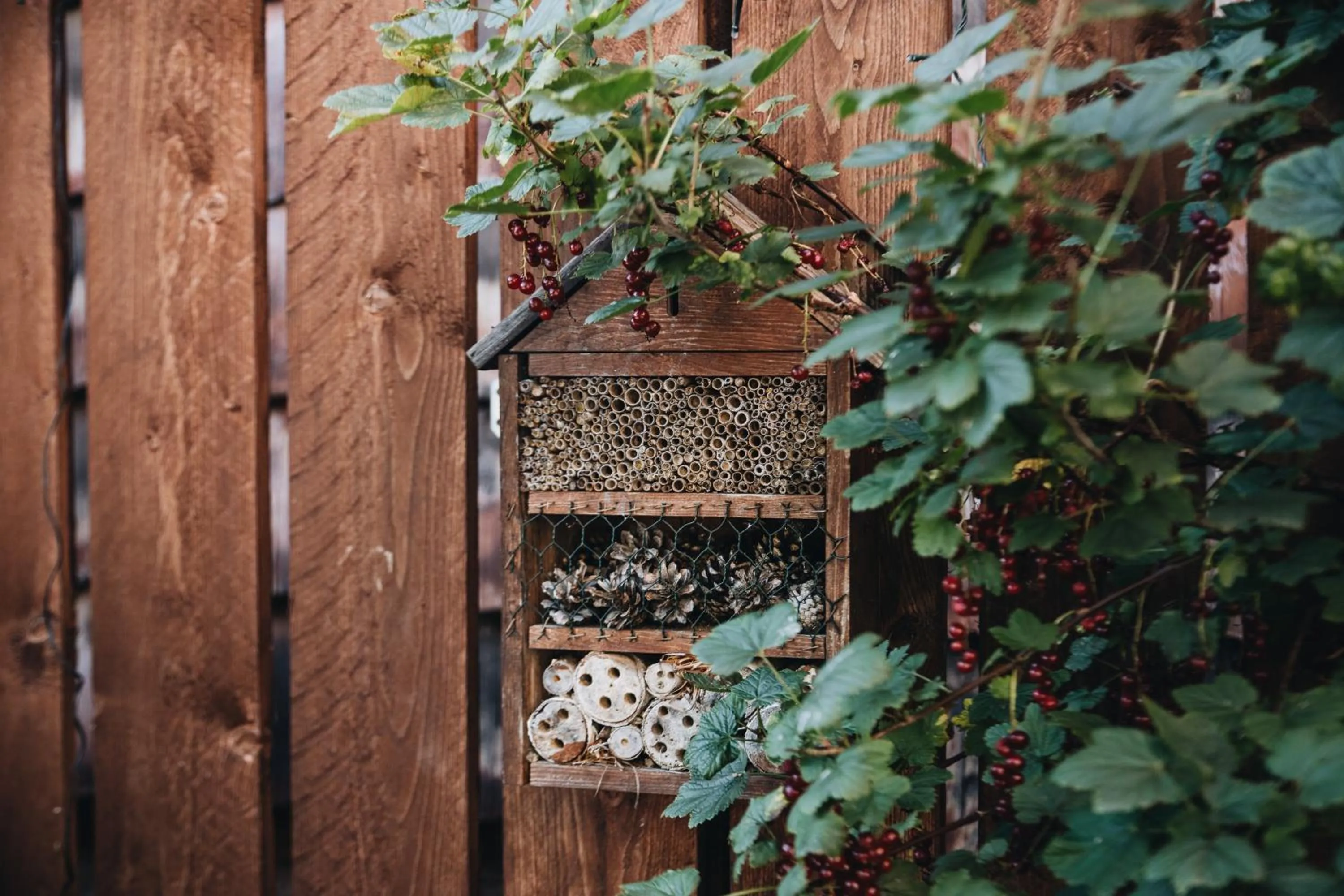 Property building in Biohotel Amadeus