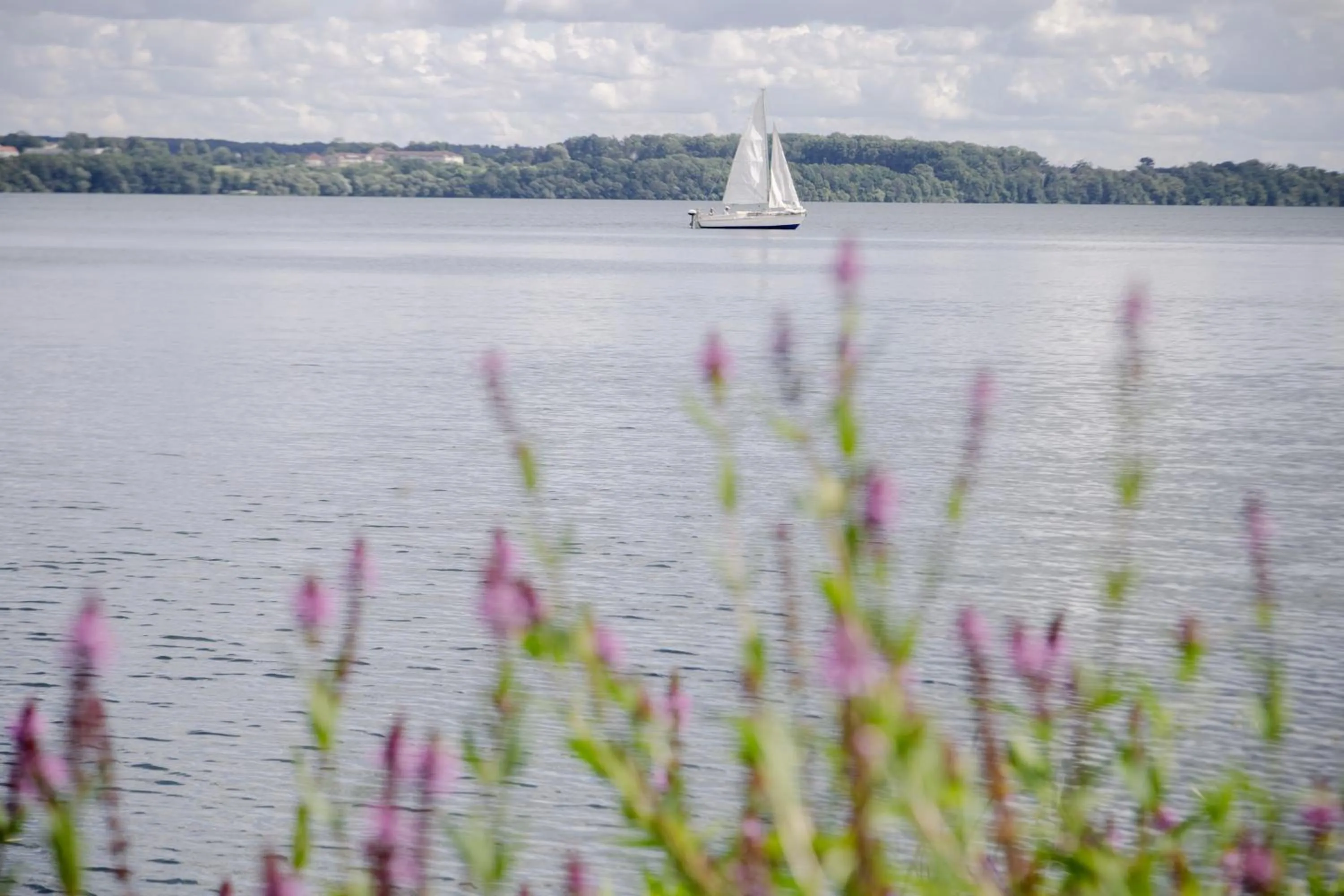 Activities in Biohotel Amadeus