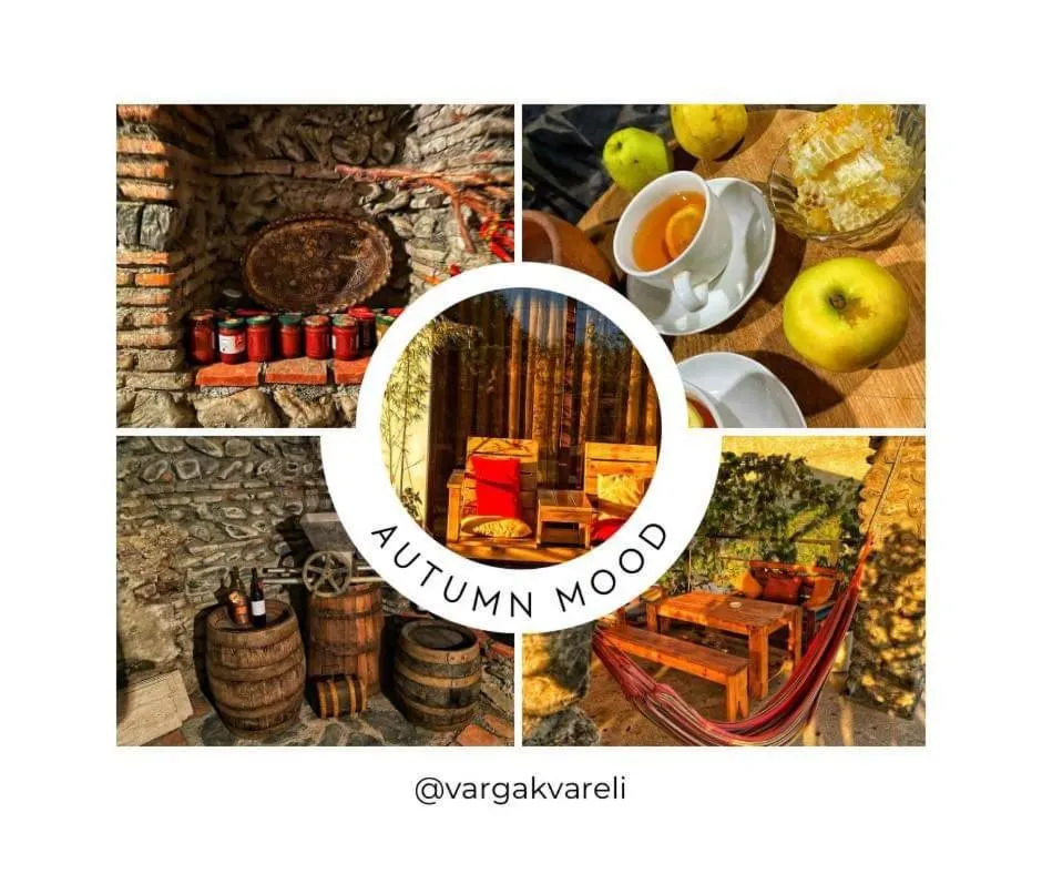 Property logo or sign in Varga Kvareli