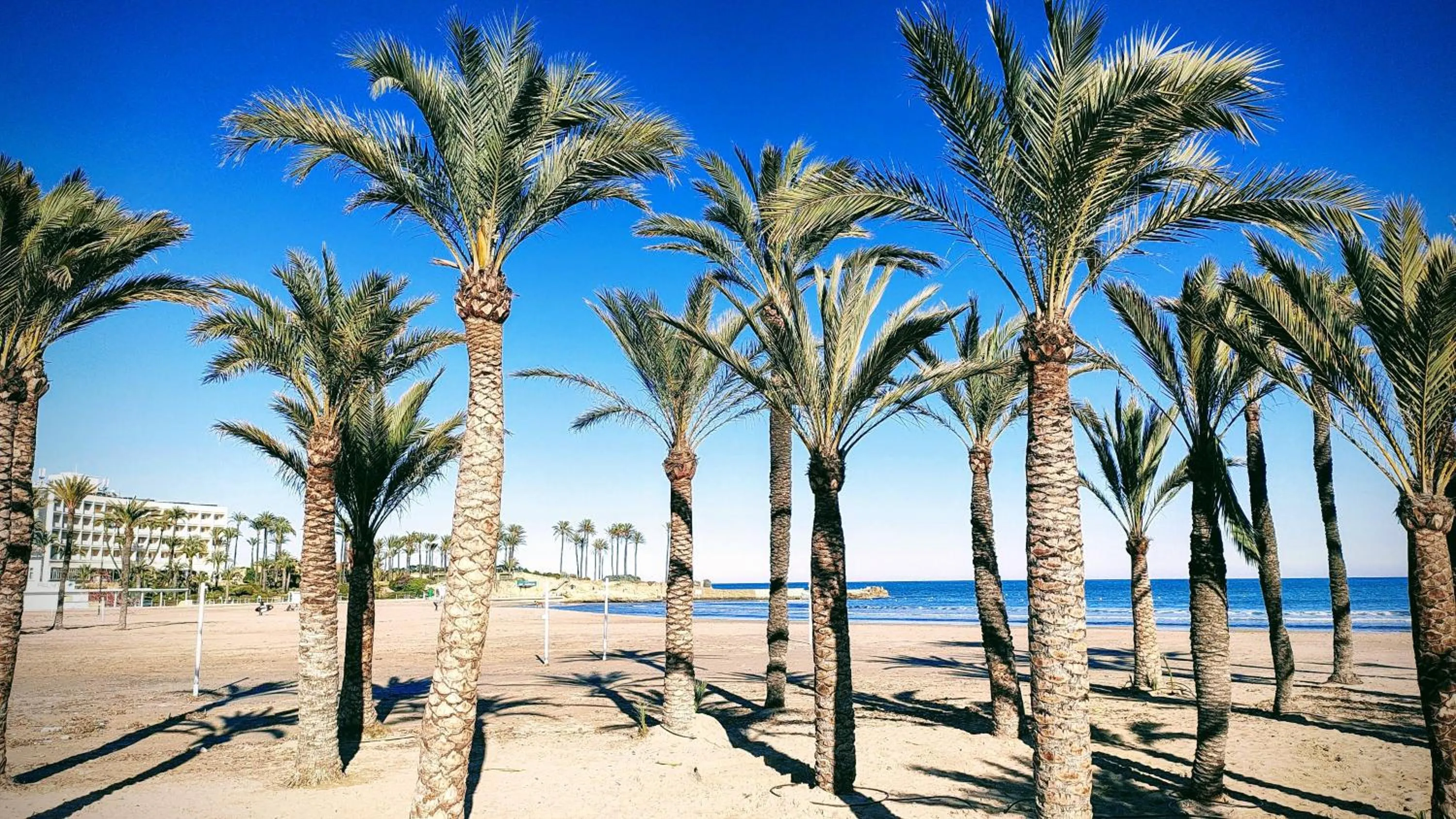 Beach in Ground floor Apartment close to Arenal Javea - 4 pers