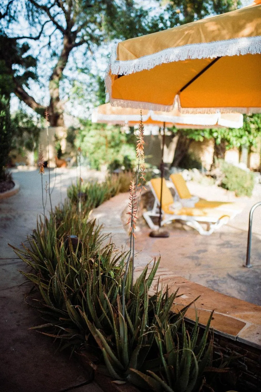 Patio in The Good House- Hot Spring Hideaway
