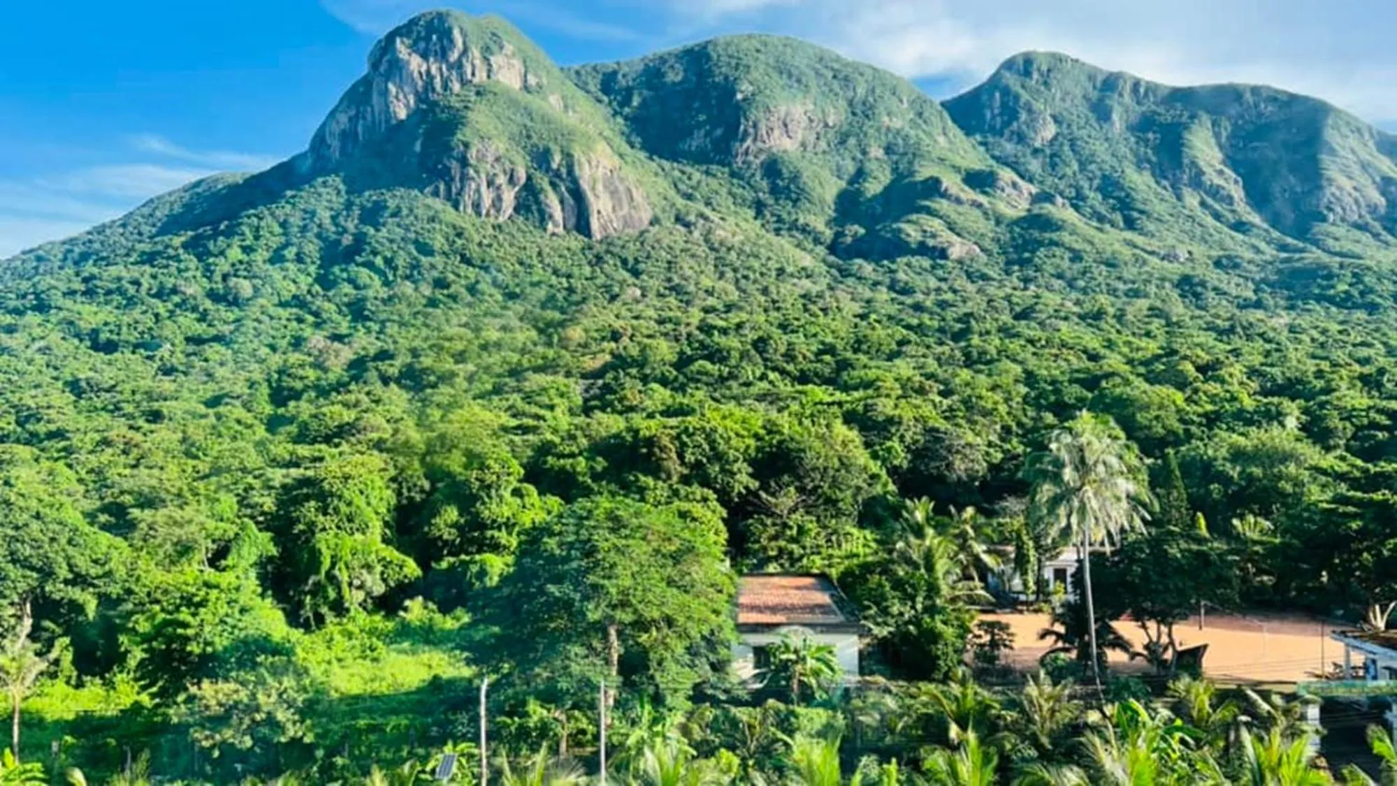 Natural landscape in Orson Hotel & Resort Con Dao