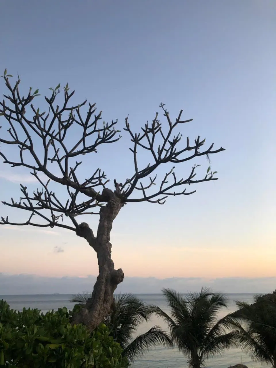 View (from property/room) in Orson Hotel & Resort Con Dao